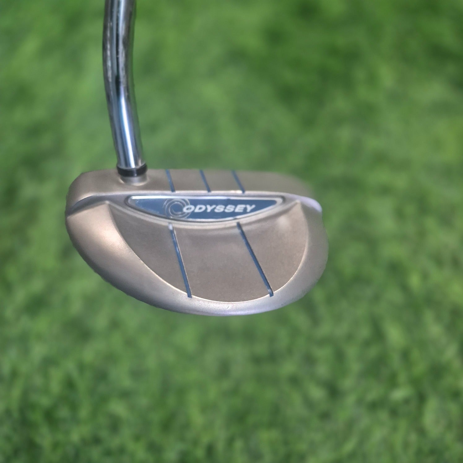 Odyssey Putter / DIVINE LINE ROSSIE / 32" / Women