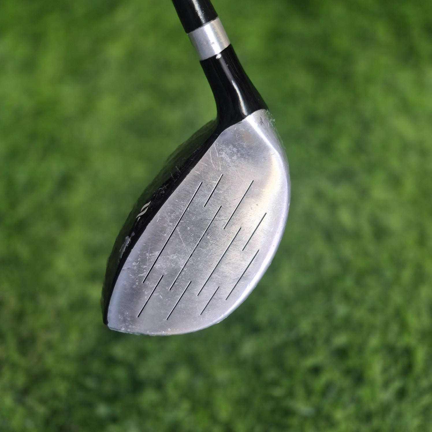 Ashley Driver / LOPEZ / 14.0 / Women