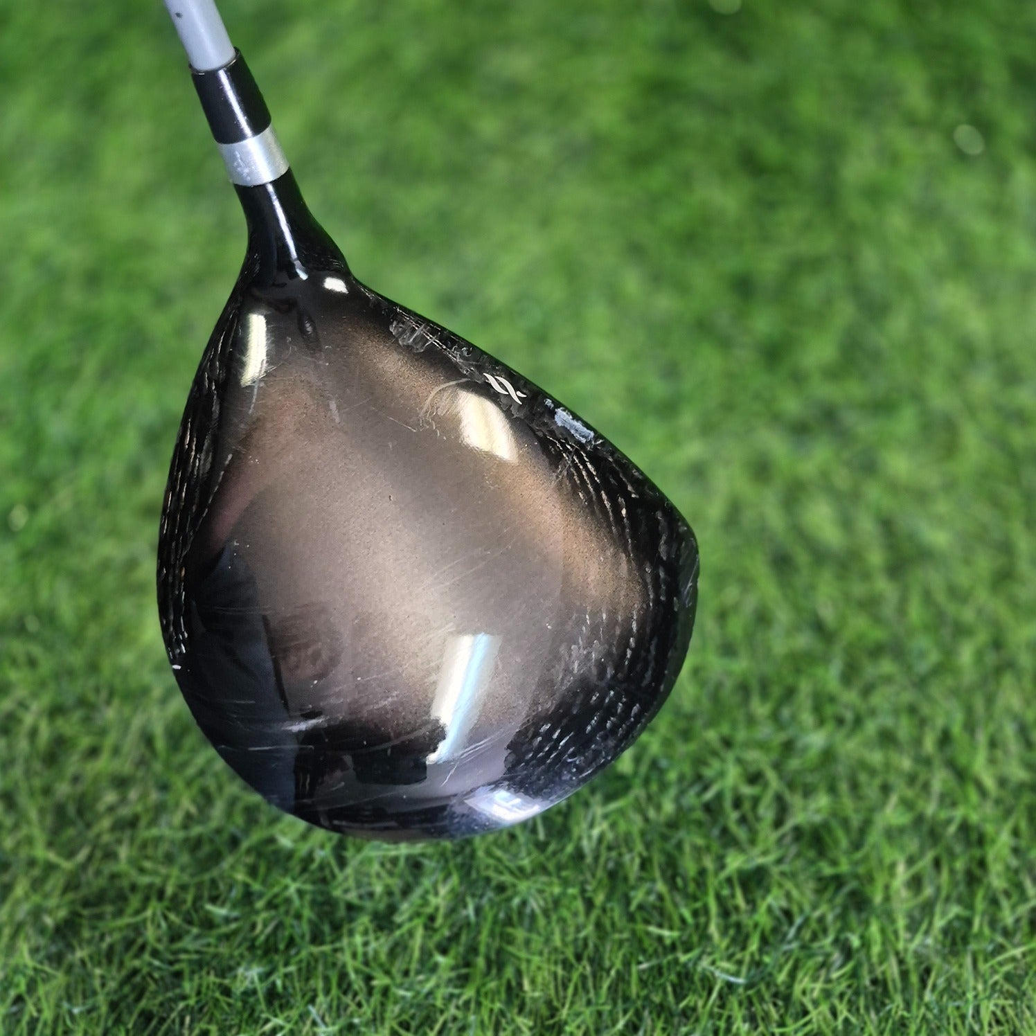 Ashley Driver / LOPEZ / 14.0 / Women