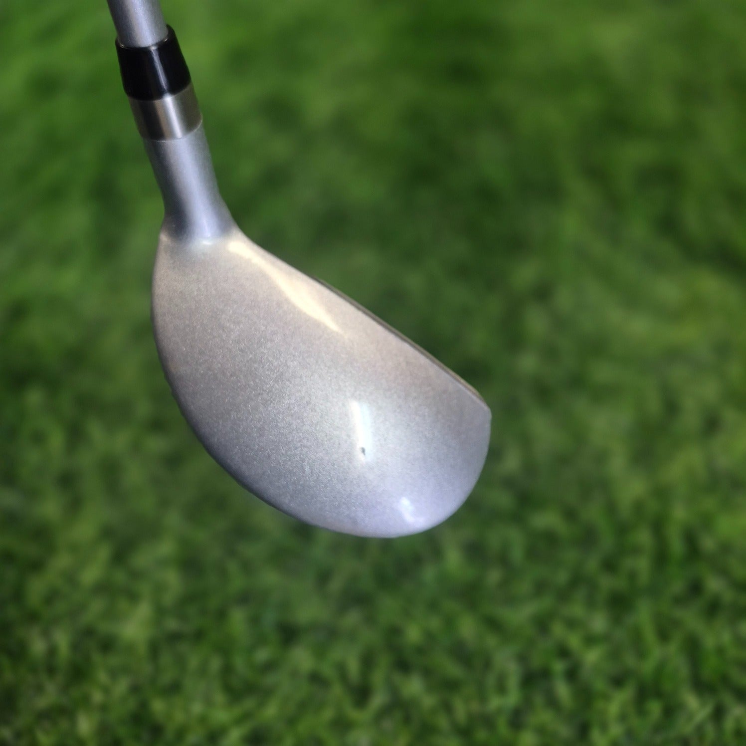 Tour Edge Hybrid / LADY EDGE / 6H(31.0) / Women