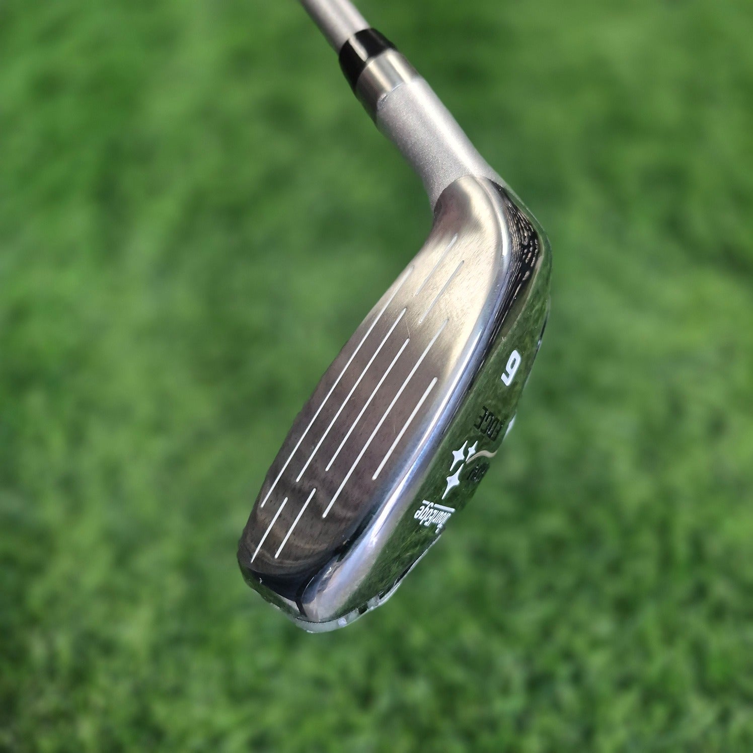 Tour Edge Hybrid / LADY EDGE / 6H(31.0) / Women