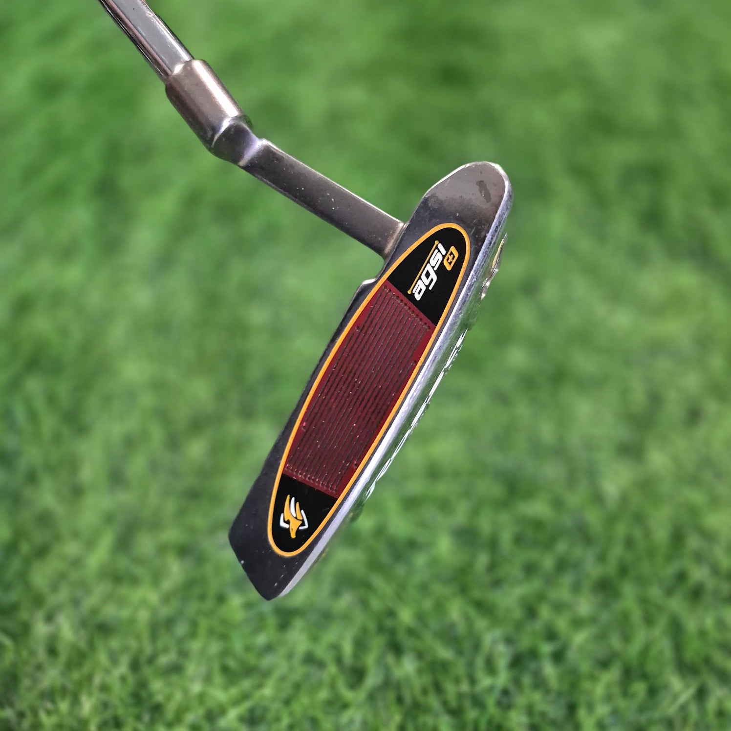 TaylorMade Putter / Rossa Daytona / 34"