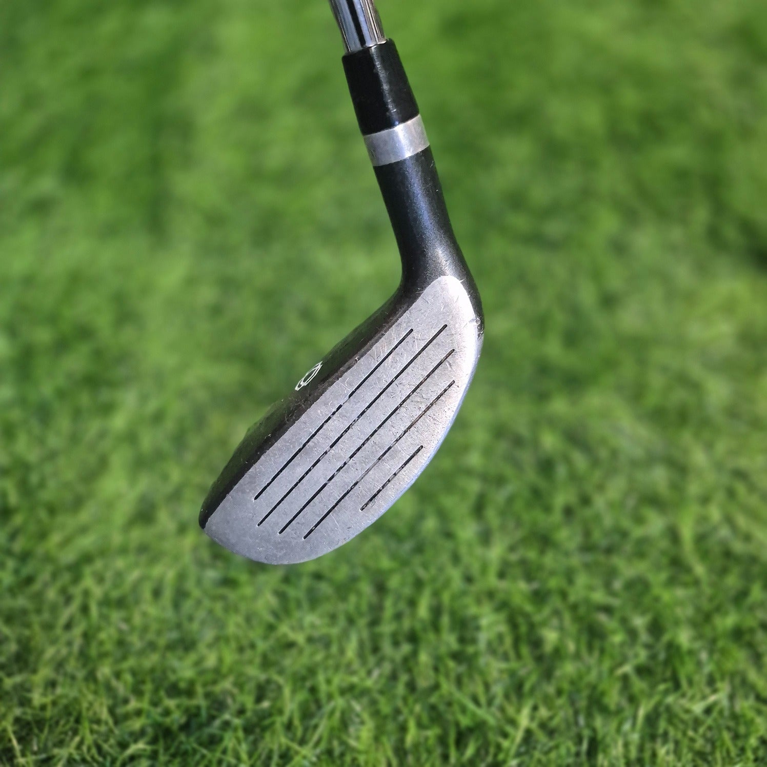 Wilson Hybrid / SQI PROFILE / 5H / Junior(-2")