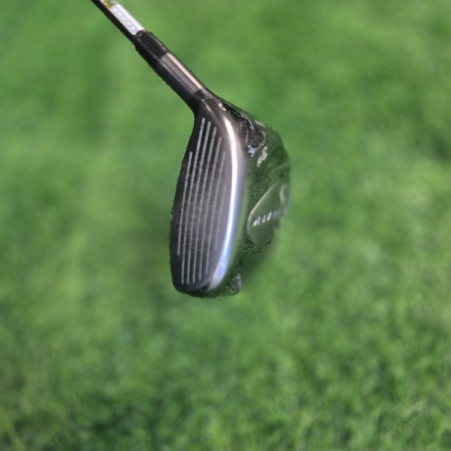 Cleveland Wood / BLACK / 3W / A