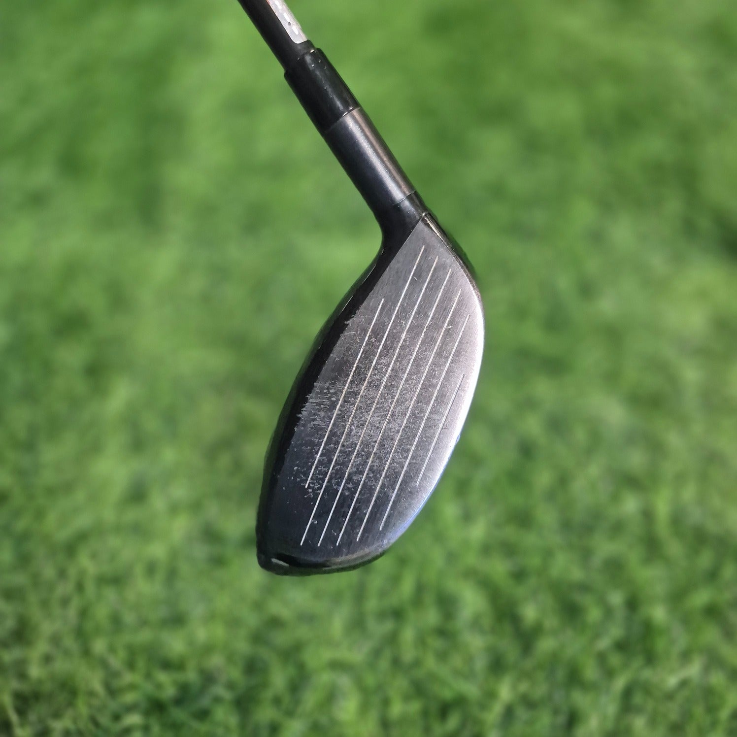 Cleveland Wood / BLACK / 3W / A