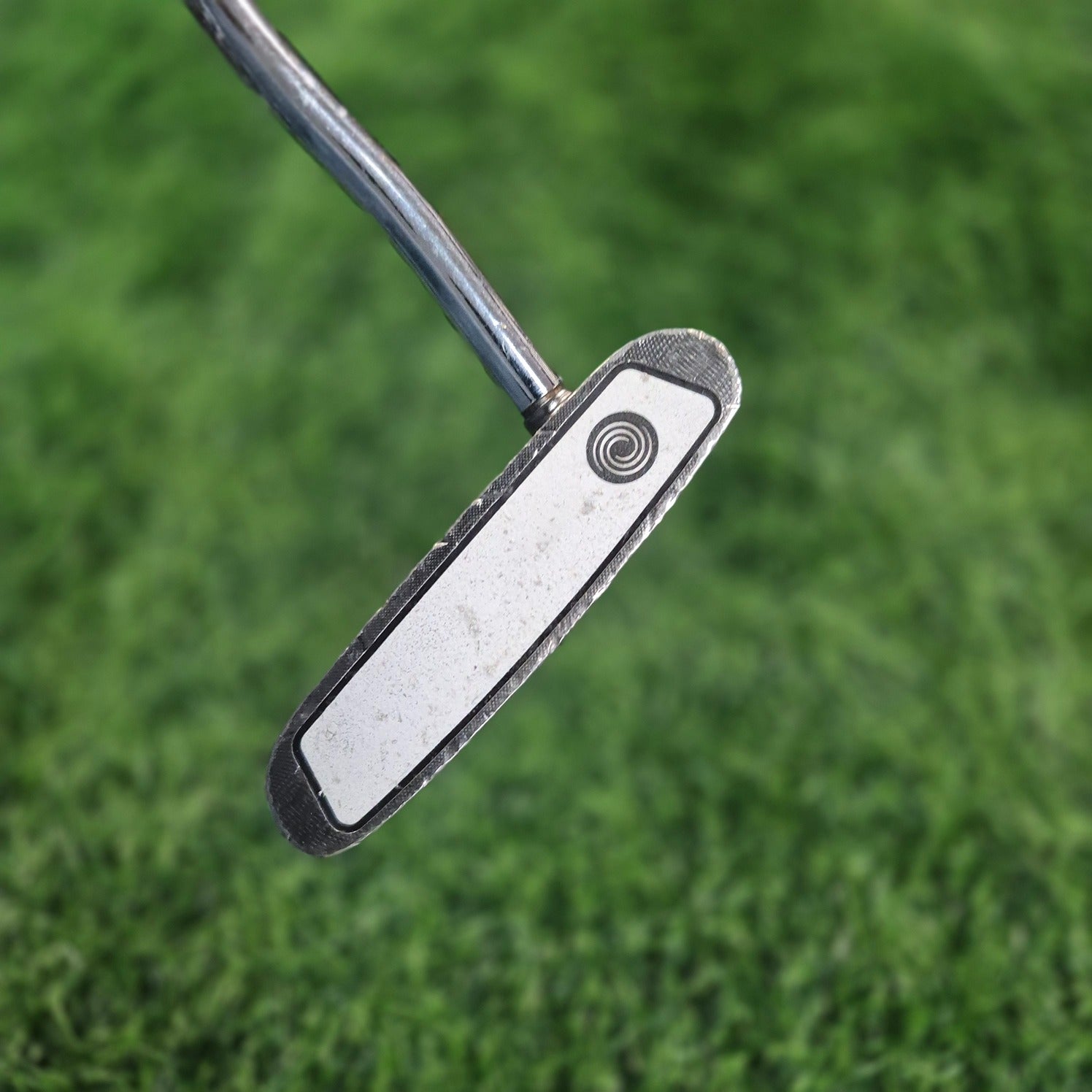 Odyssey Putter /  White Ice Rossie / 34"