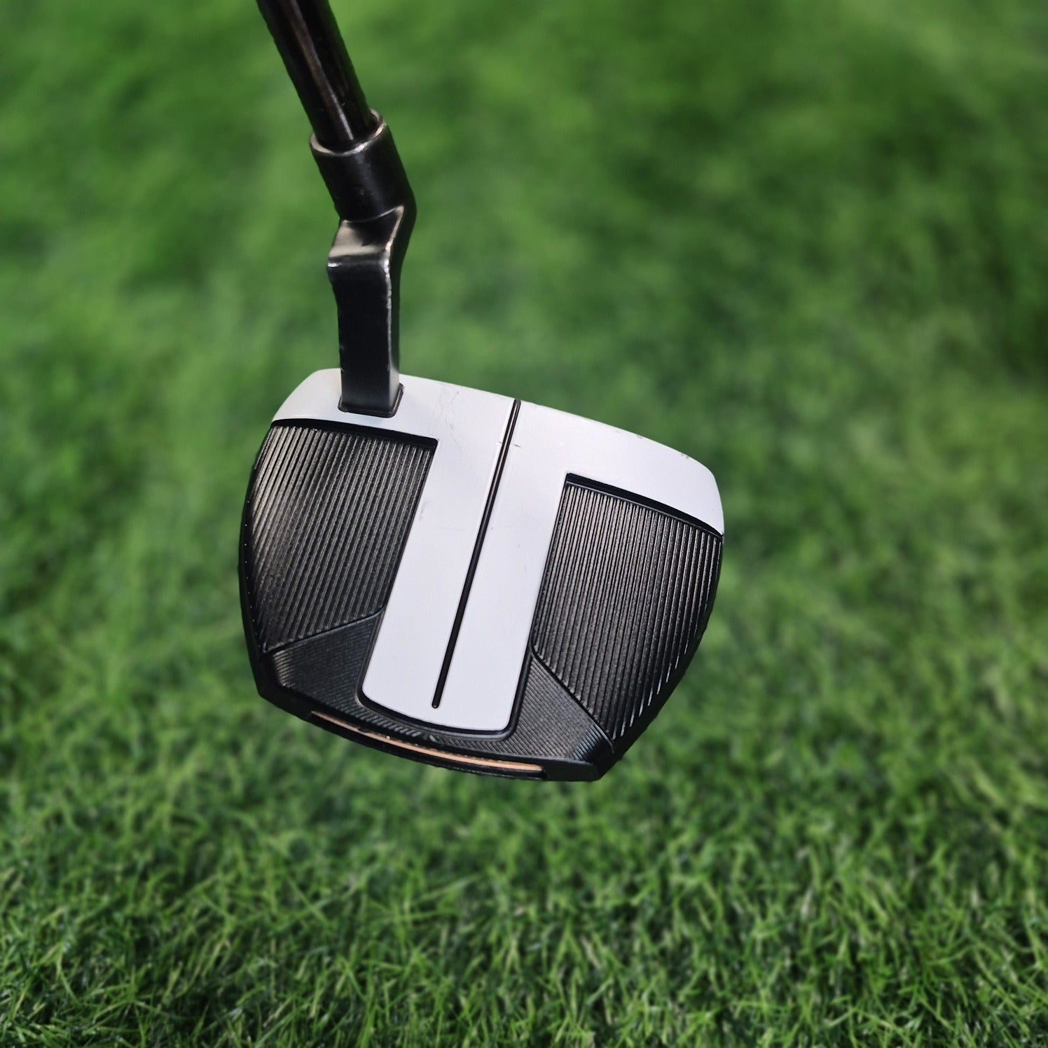 TaylorMade Putter / Spider FCG Black/White / 33"