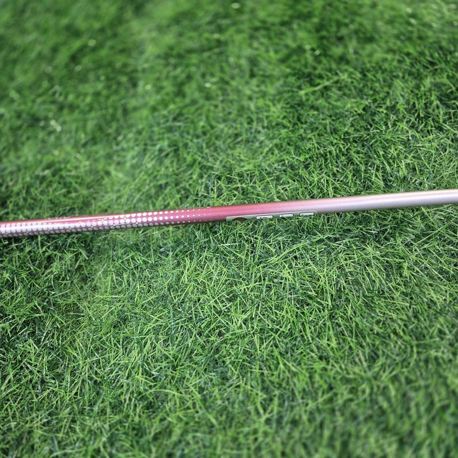 XXIO Hybrid / XXIO 9 / 5H(25.0) / Women / A