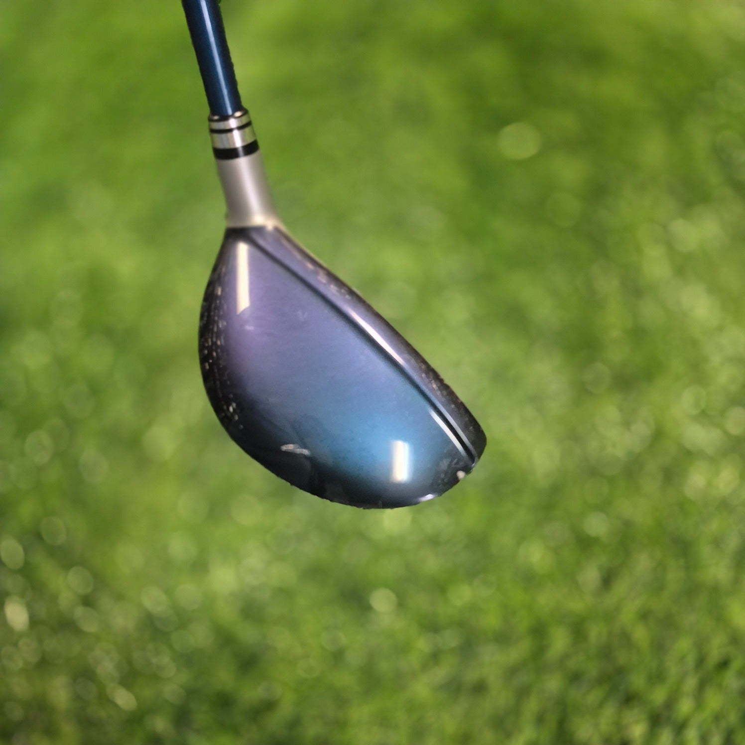 XXIO Hybrid / XXIO 8 / 6H(28.0) / Women / A