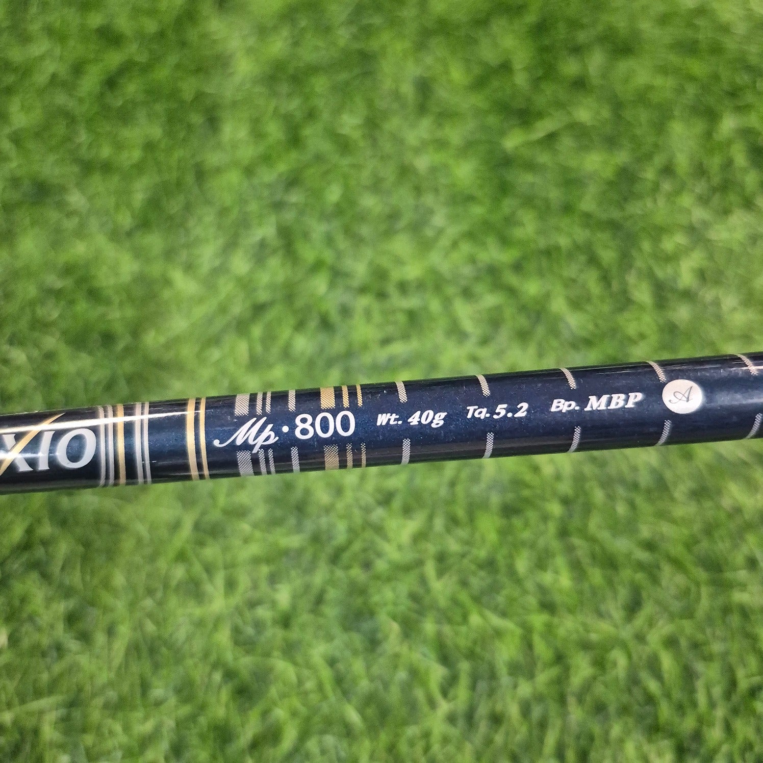 XXIO Hybrid / XXIO 8 / 6H(28.0) / Women / A