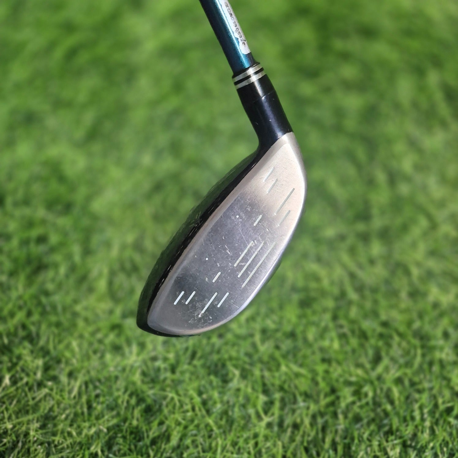 XXIO Wood / XXIO 9 / 5W(18.0) / R