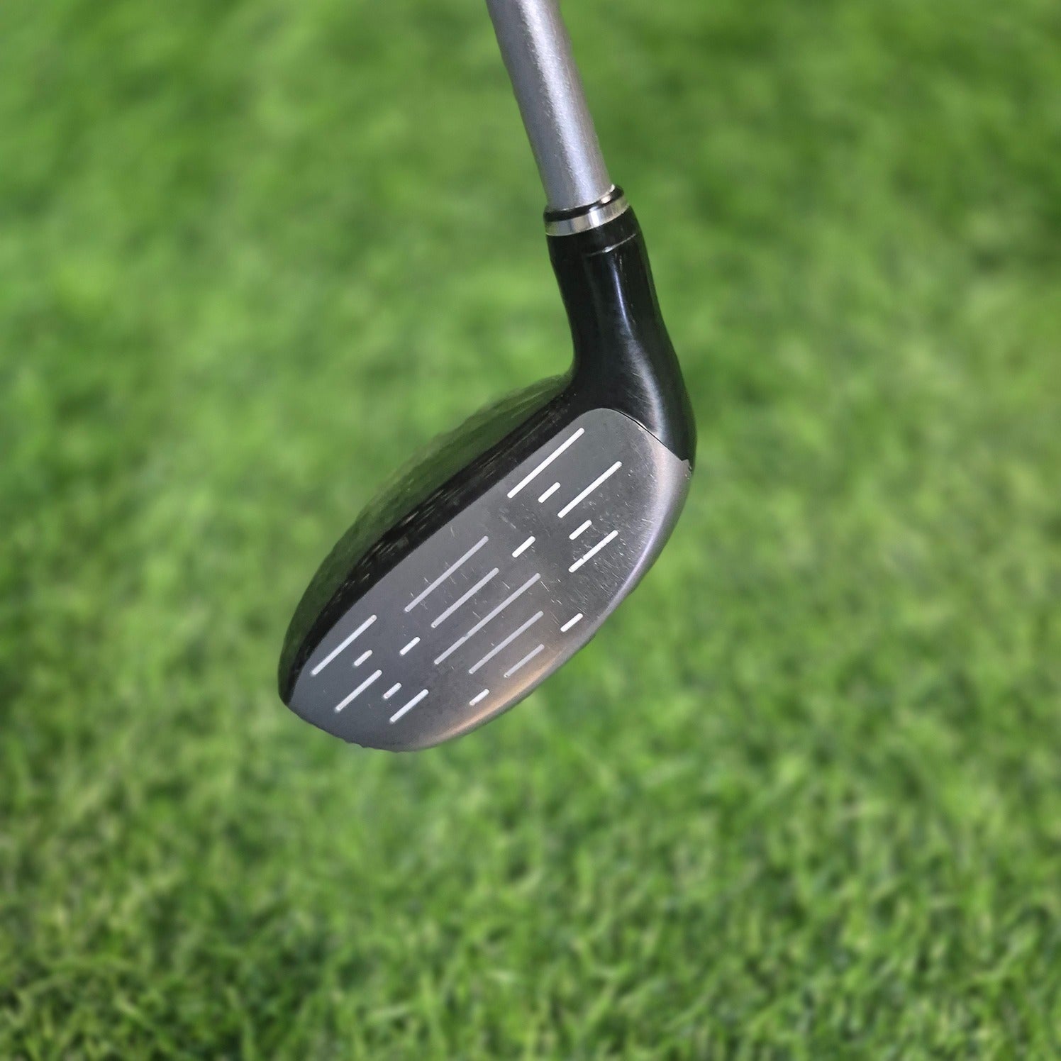 XXIO Wood / XXIO FORGED / 7W (21.0°) / R