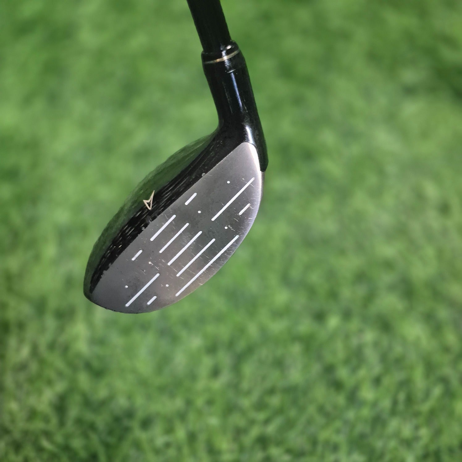 XXIO Wood / XXIO PRIME / 7W (21.0°) / R