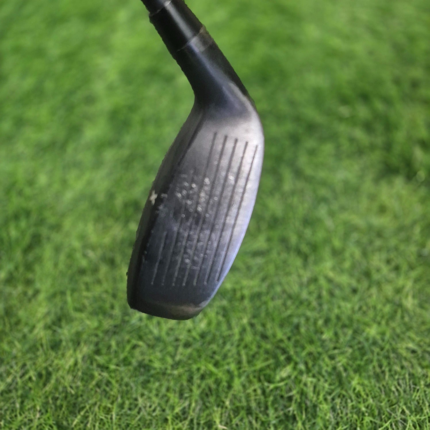 PXG Hybrid / 0211 / 5H(25.0) / A(Senior)