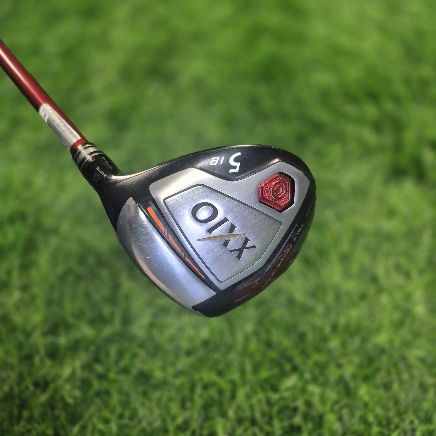XXIO Wood / XXIO 10 / 5W(Red) / R