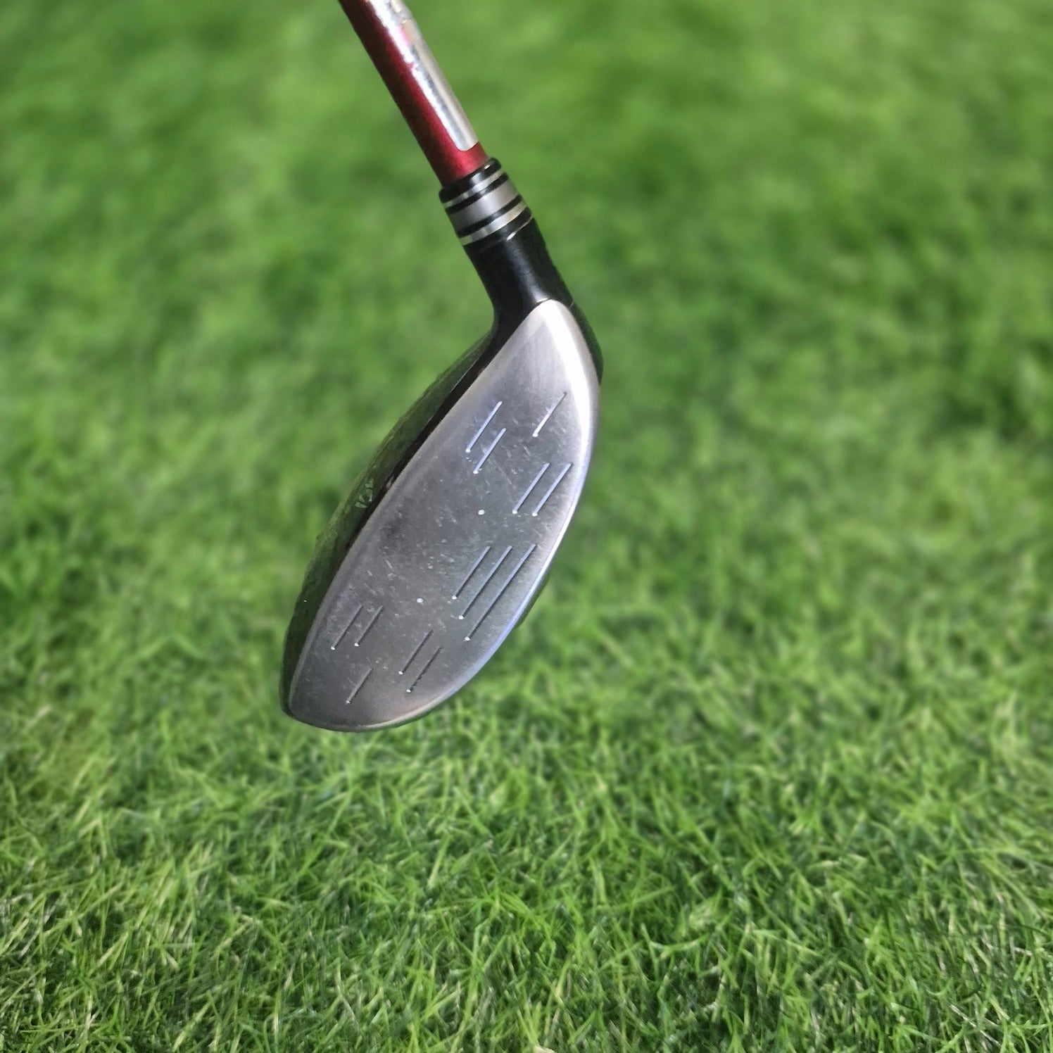 XXIO Wood / XXIO 10 / 5W(Red) / R