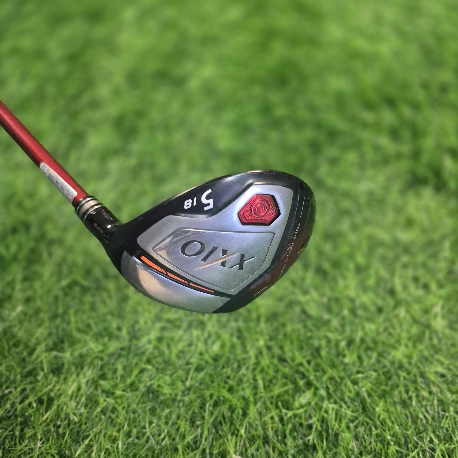 XXIO Wood / XXIO 10 / 5W(Red) / R