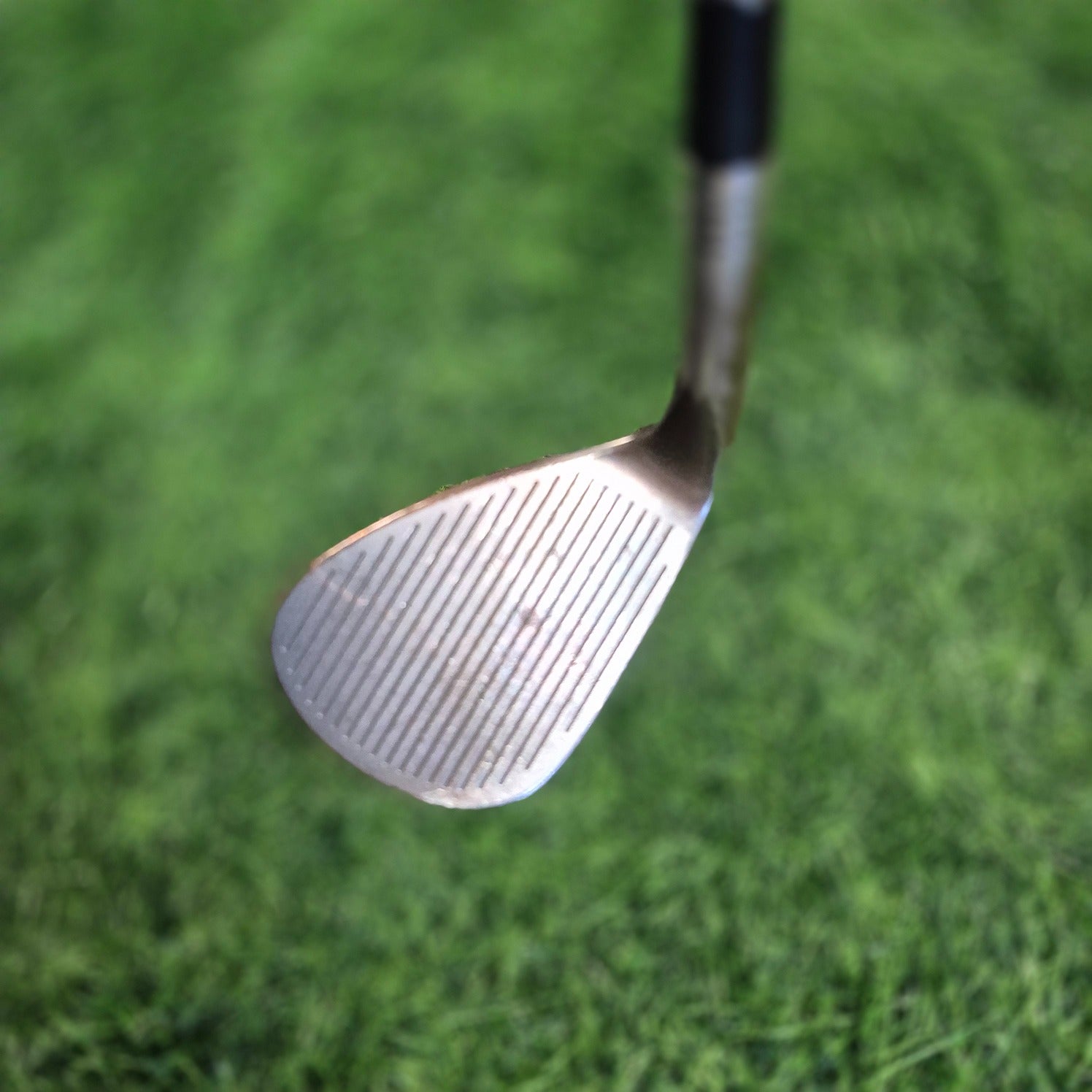 TaylorMade Wedge / Milled HI-TOE / 56.0 / S