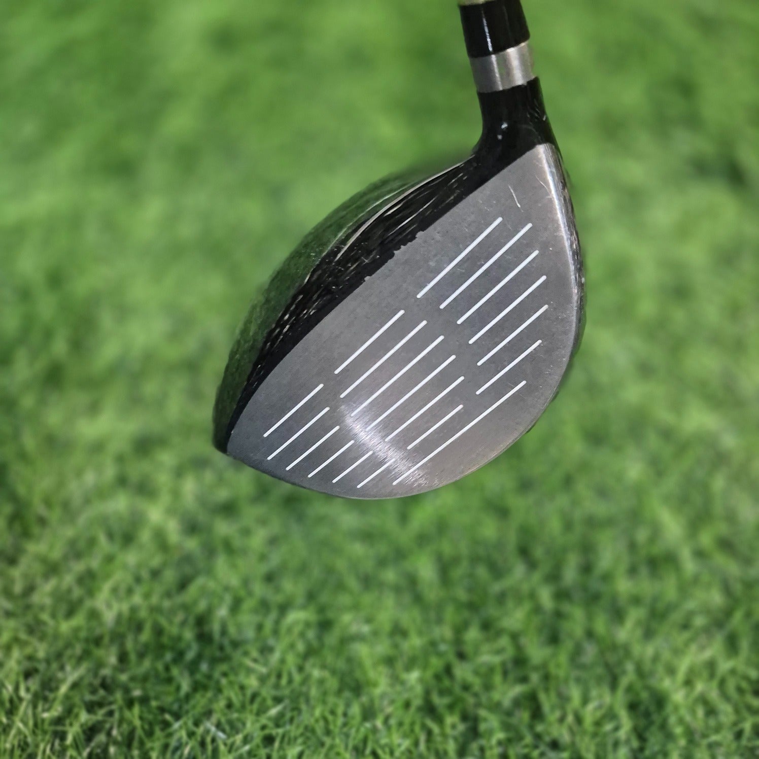 Ryoma Driver / MAXIMA Type-D / 12.5° / Women / L
