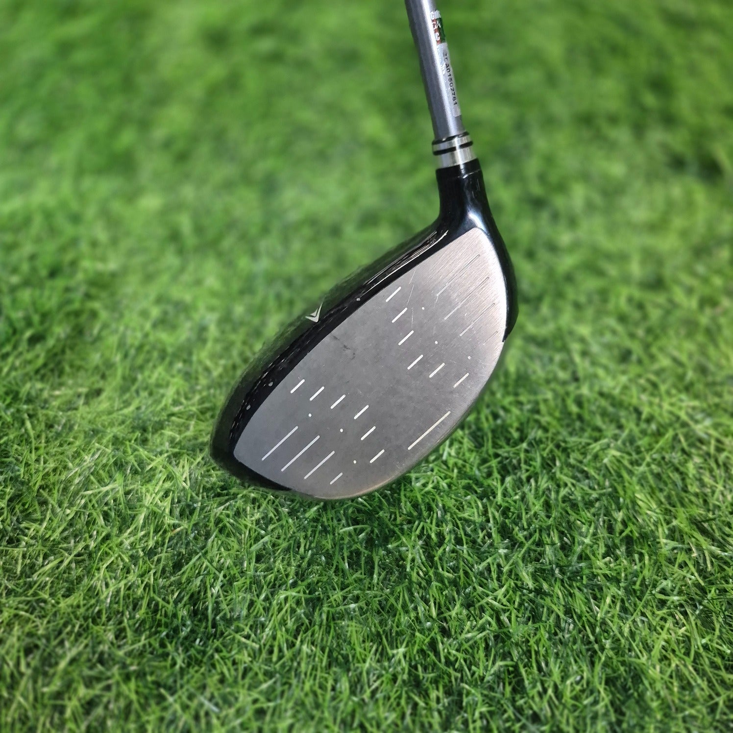 XXIO Driver / XXIO 7 / 12.5° / Women / A