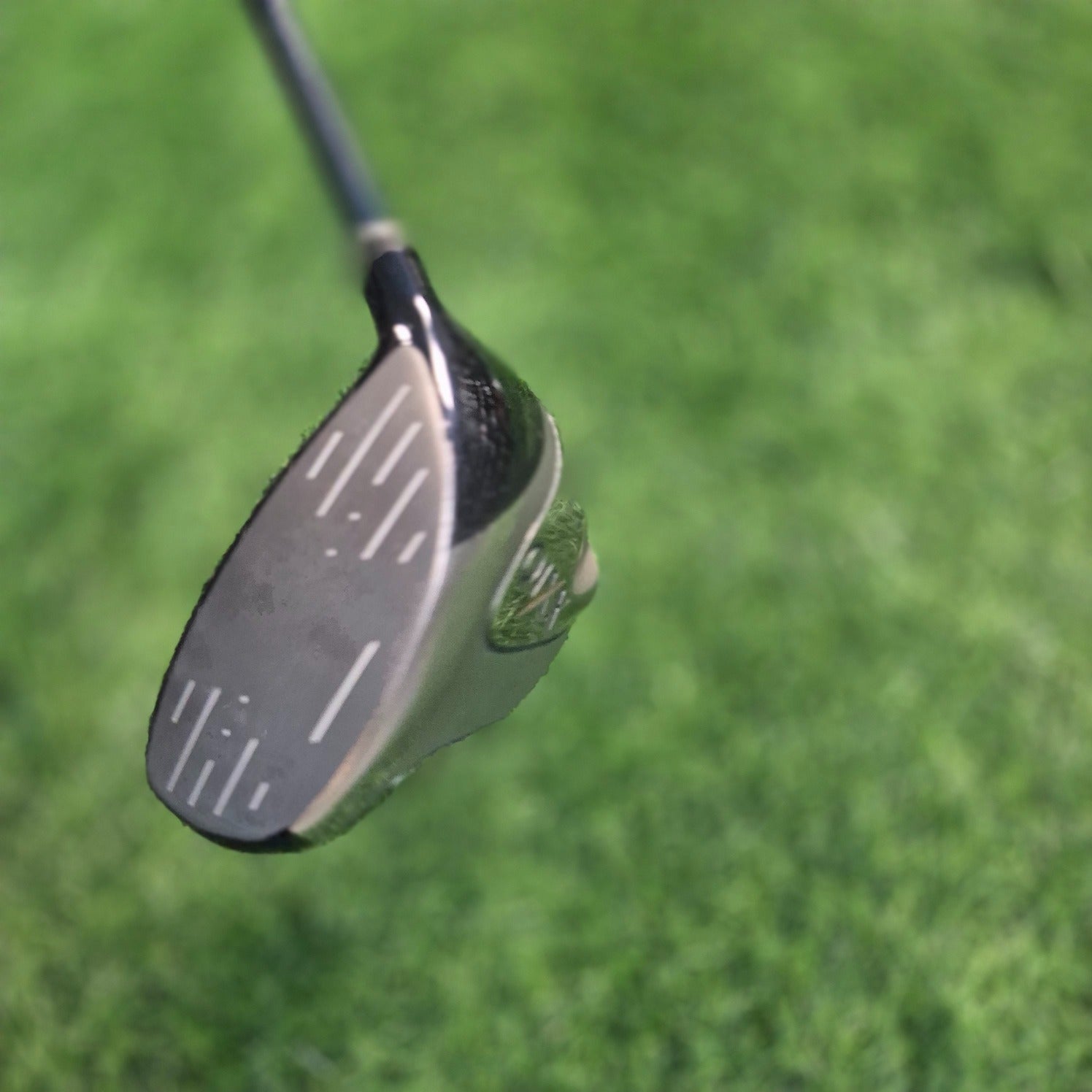 XXIO Driver / XXIO 5 / 12.5° / Women / A