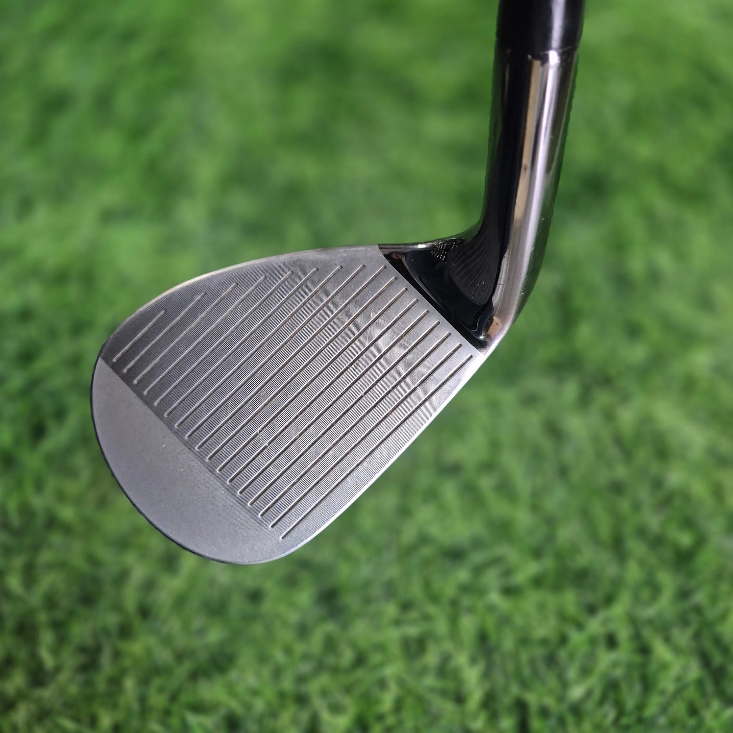 MAJESTY Wedge / ROYAL / SW / R