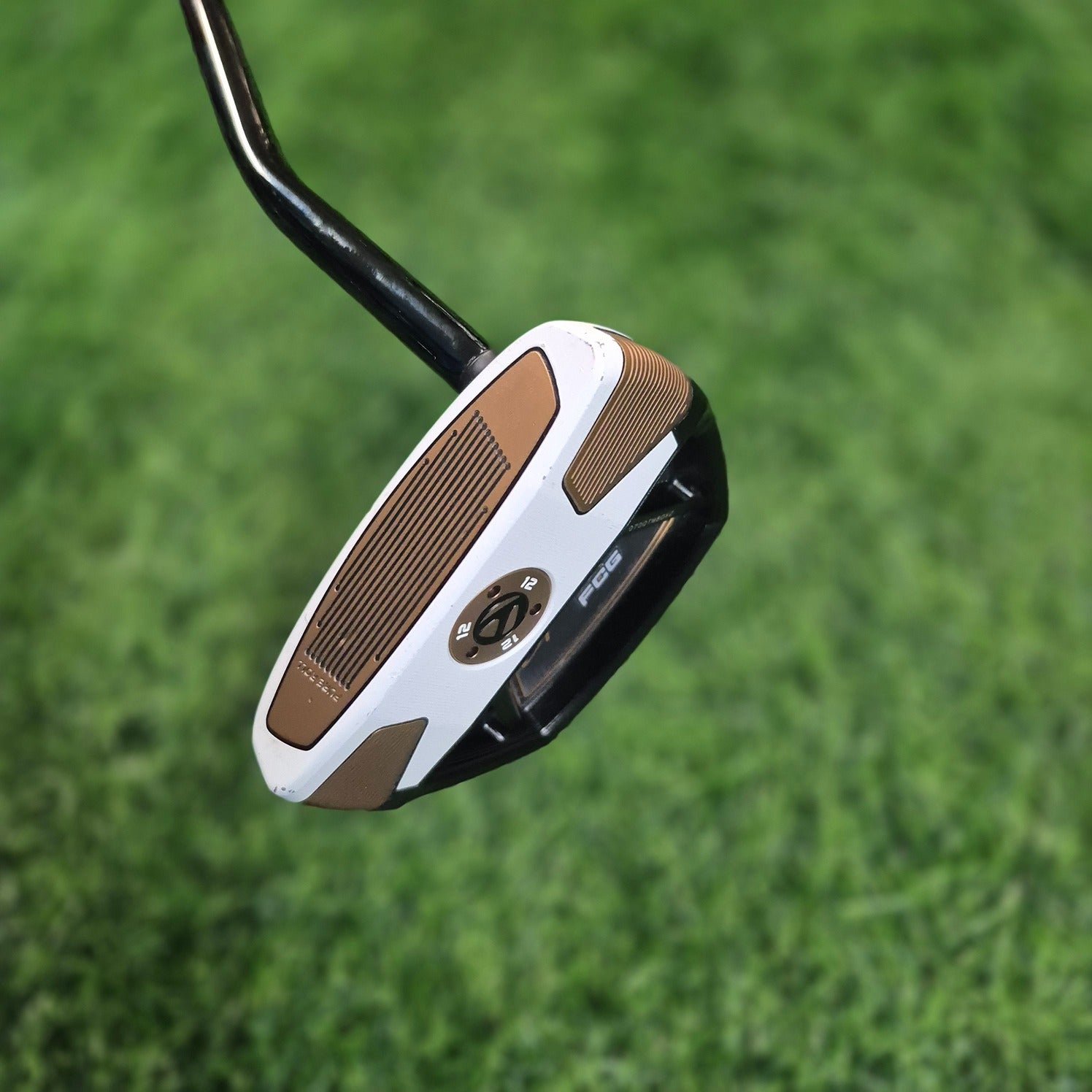 TaylorMade Putter / Spider FCG Black/White / 34"