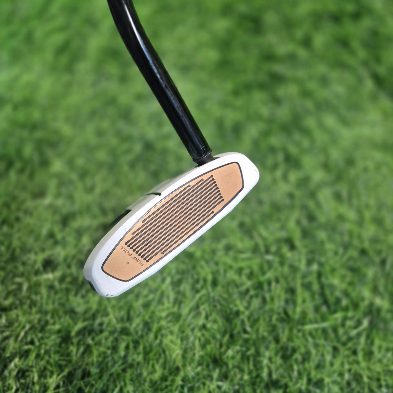TaylorMade Putter / Spider FCG Black/White / 34"