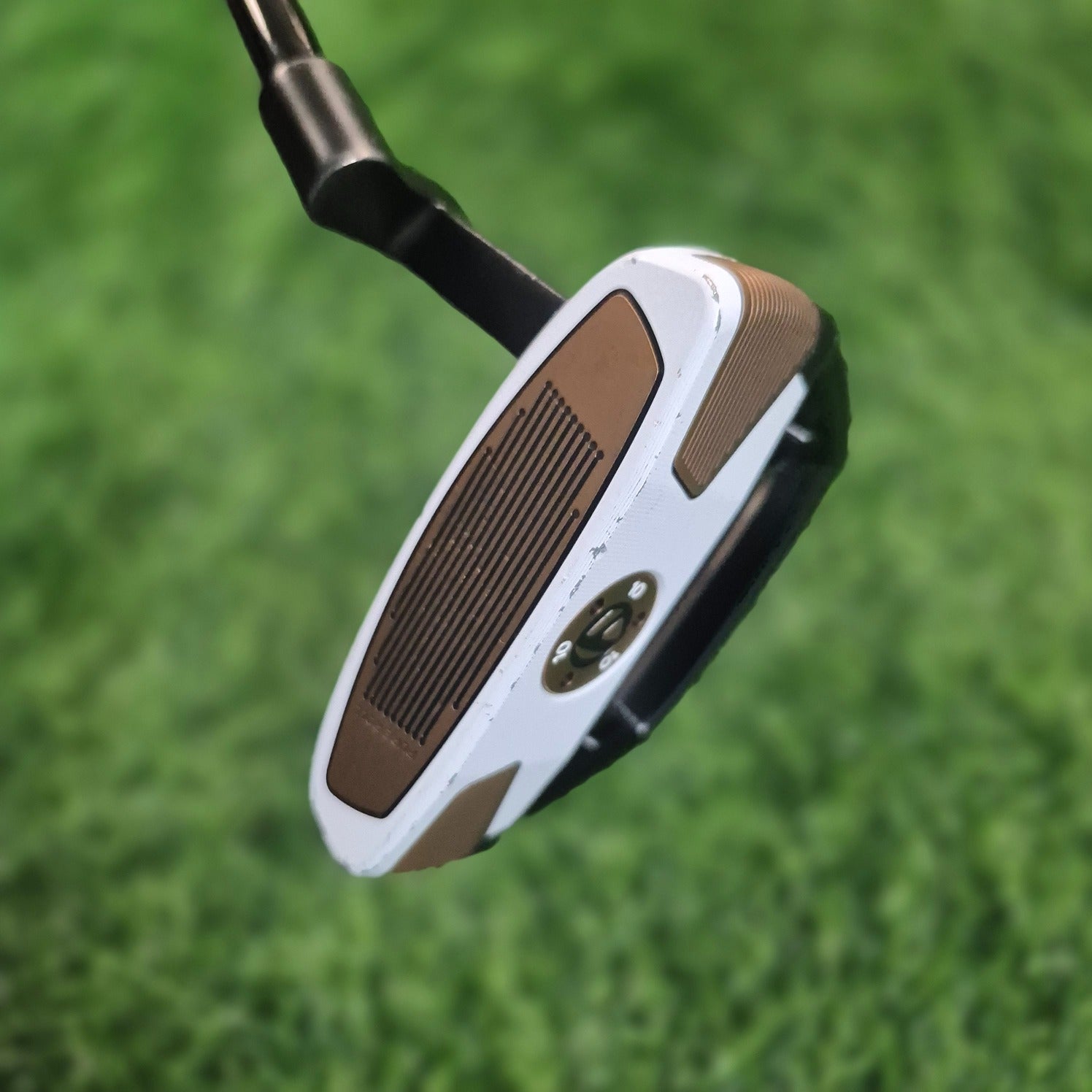 TaylorMade Putter / Spider FCG Black/White / 33"