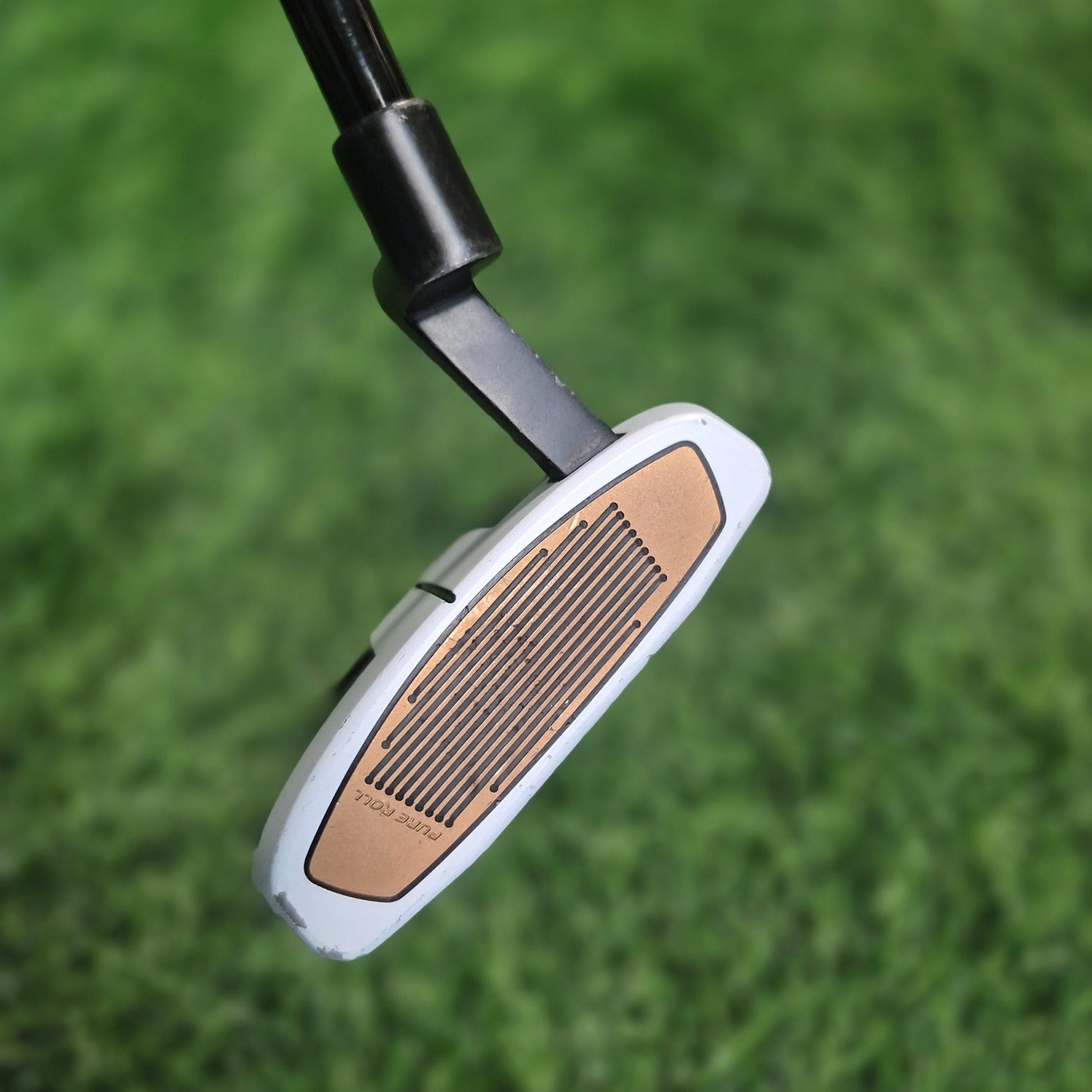 TaylorMade Putter / Spider FCG Black/White / 33"