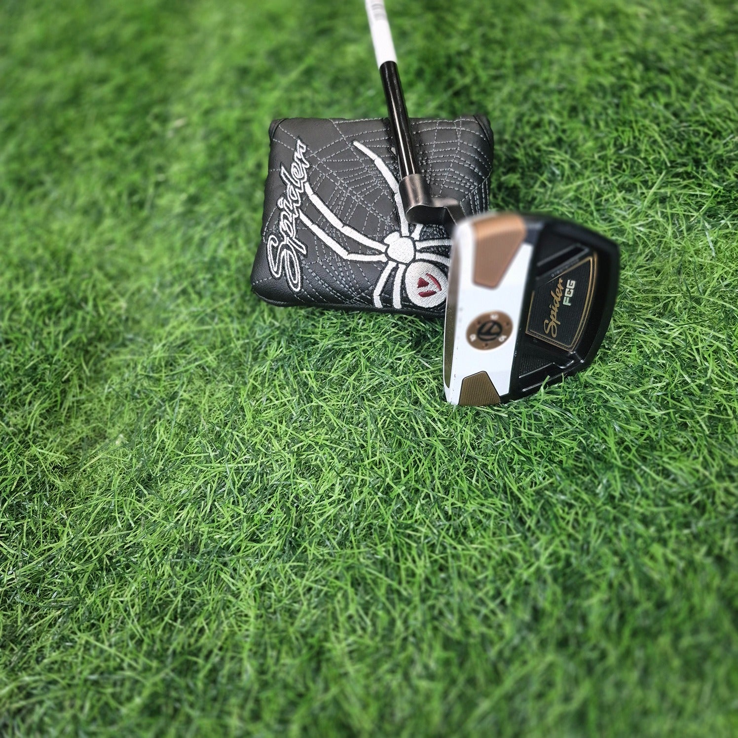 TaylorMade Putter / Spider FCG Black/White / 33"