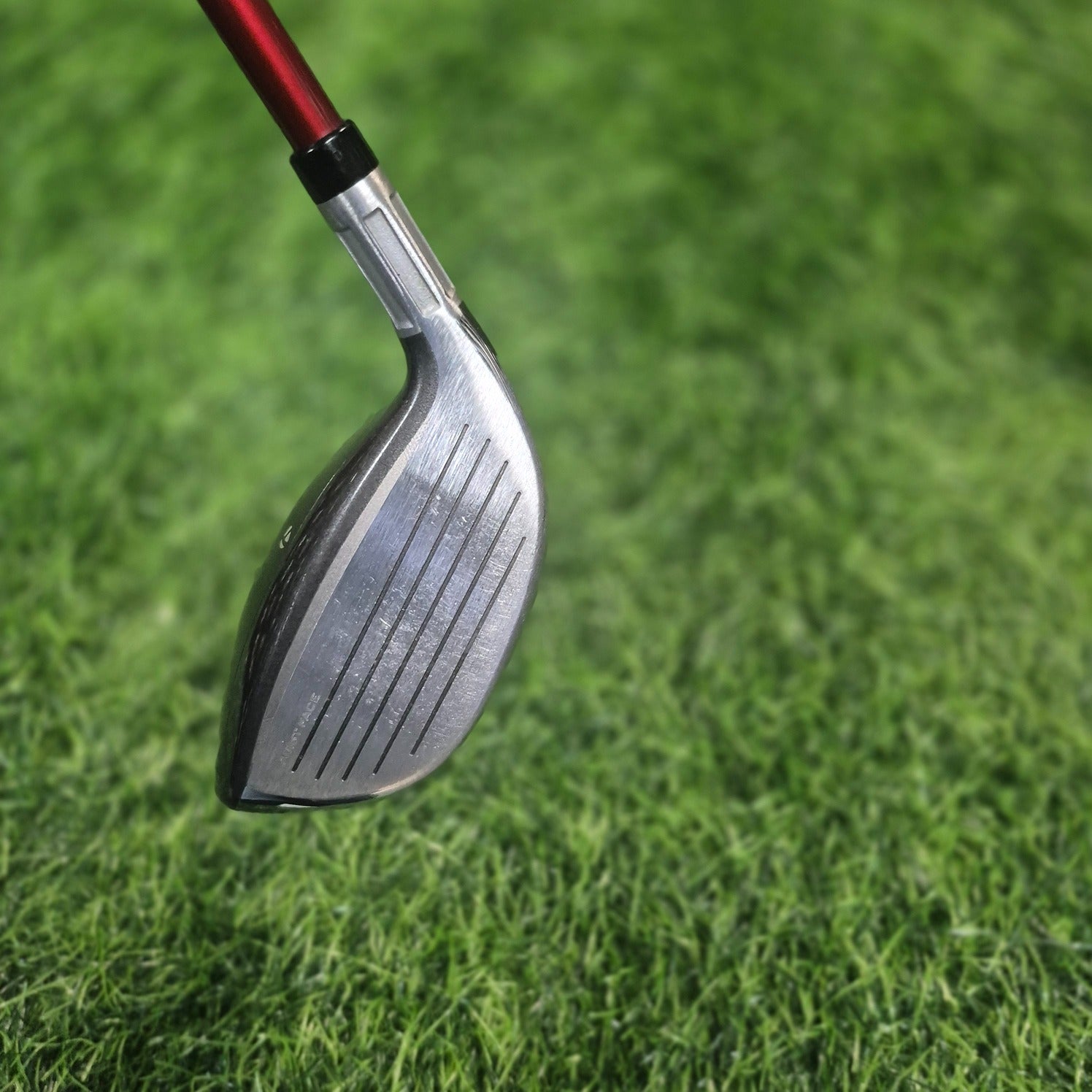 TaylorMade Wood / Stealth / 5W(19.0) / Women / A
