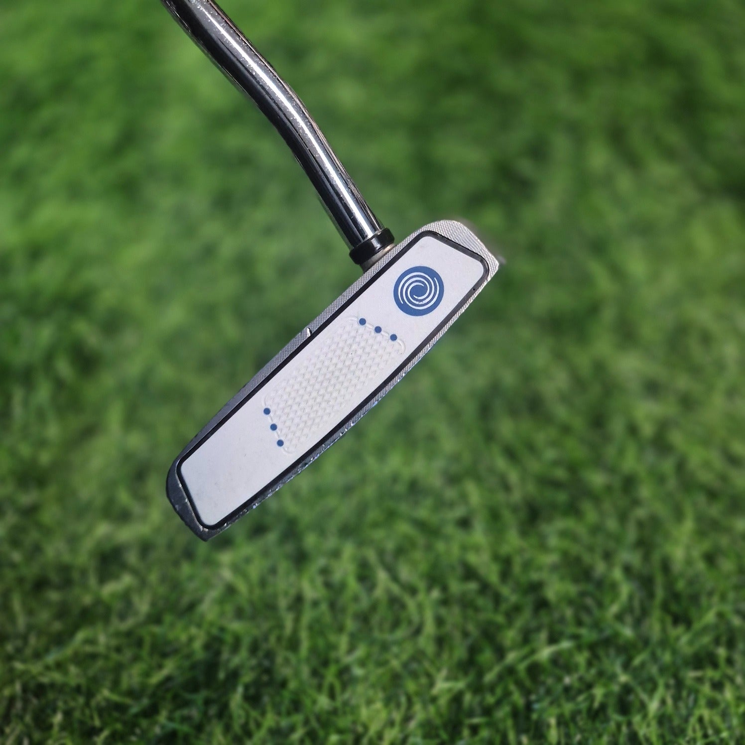 Odyssey Putter / Divine Line 2 Ball / 32" / Women