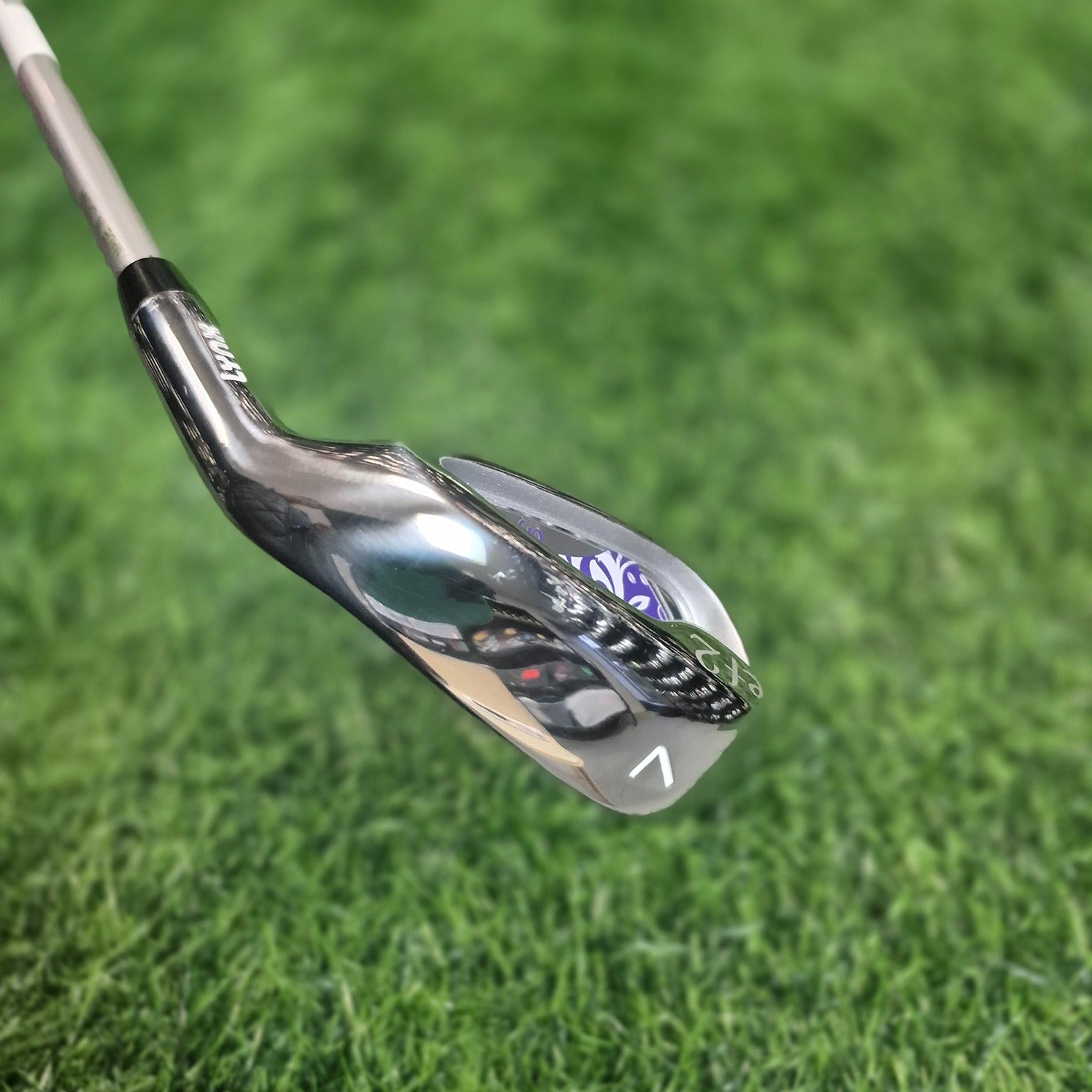 Lynx Etc / SONO /  #7 Single Iron / Women / L