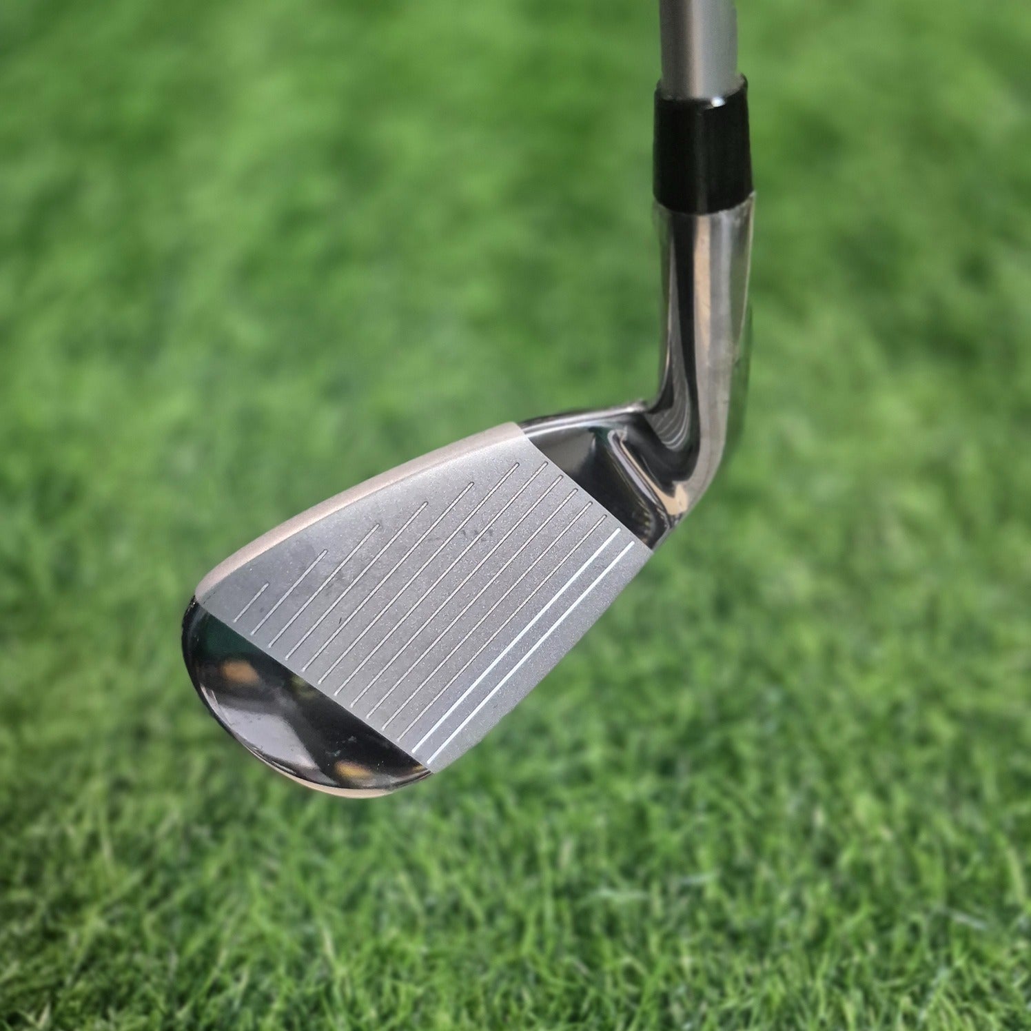 Lynx Etc / SONO /  #7 Single Iron / Women / L