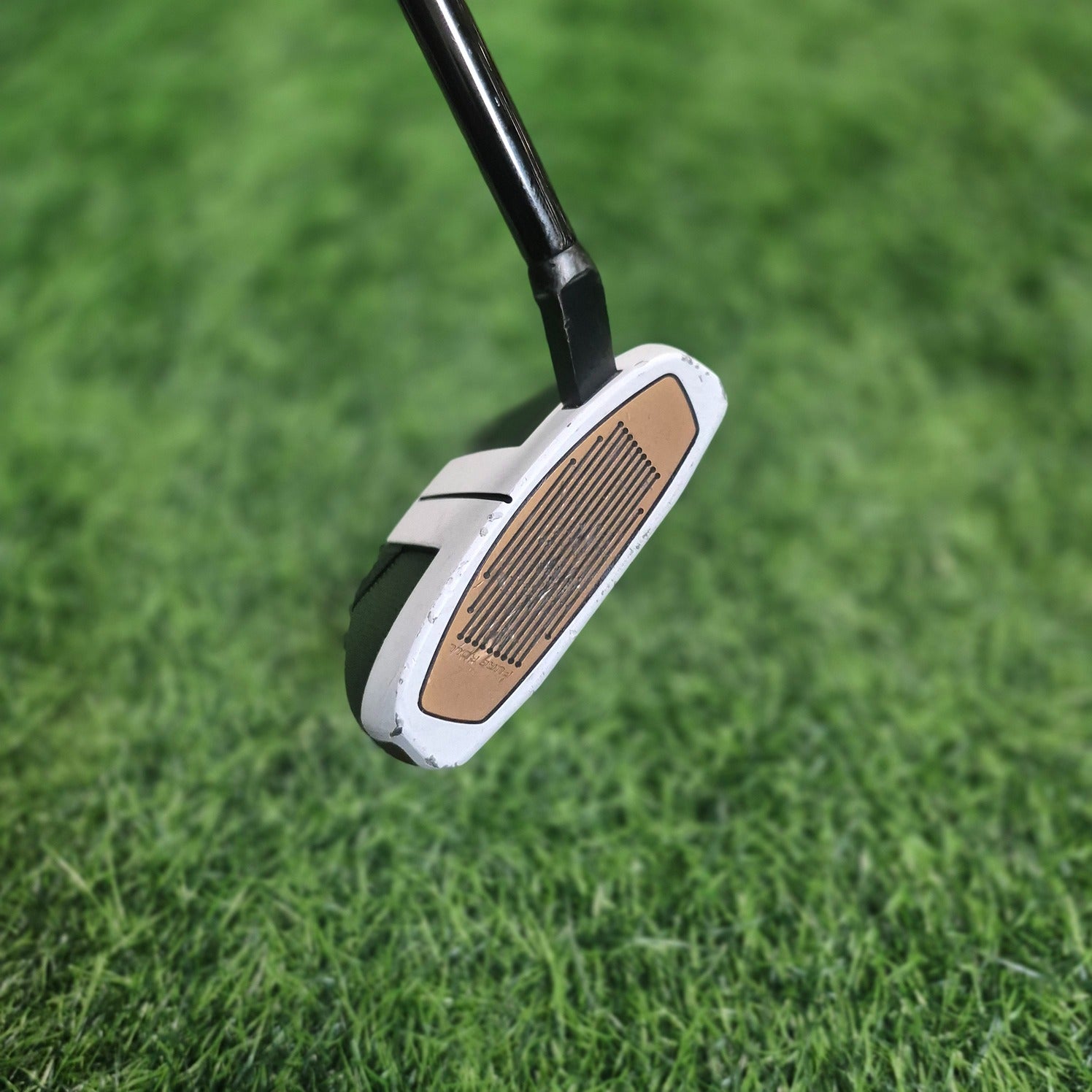 TaylorMade Putter / Spider FCG Small Slant / 33"