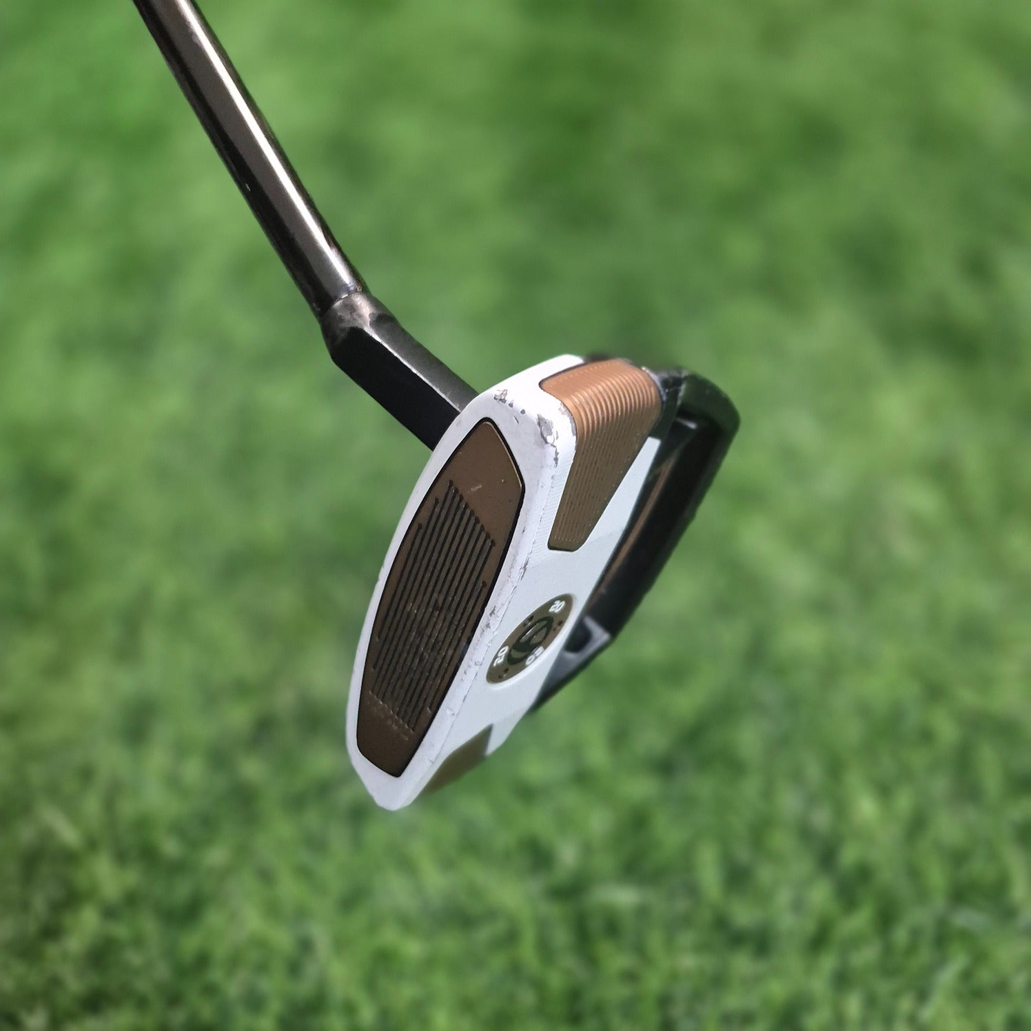 TaylorMade Putter / Spider FCG Small Slant / 33"