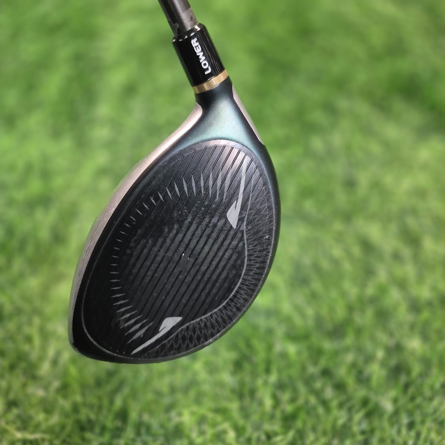 TaylorMade Driver / GLOIRE / 10.5 / R(S)