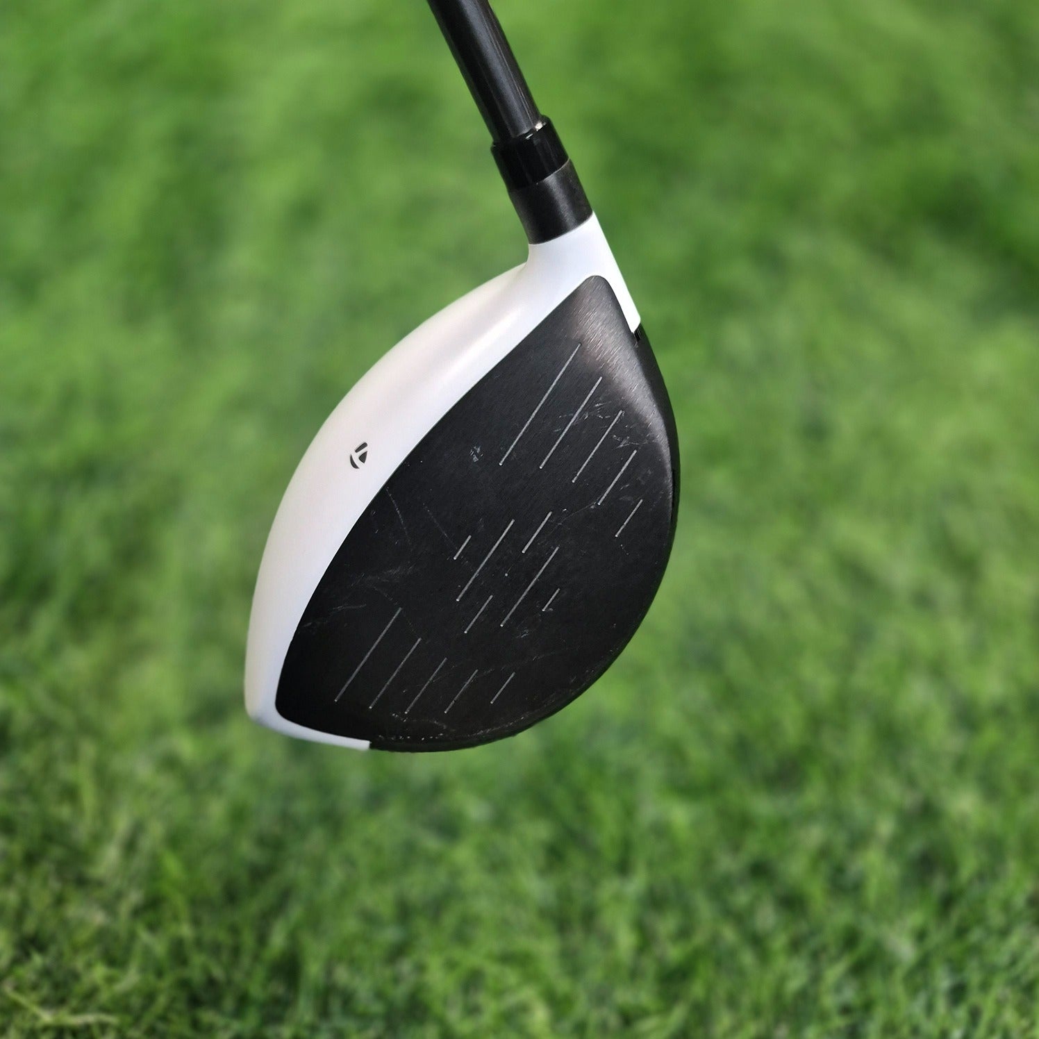 TaylorMade Driver / SLDR / 10.0 / R(S)