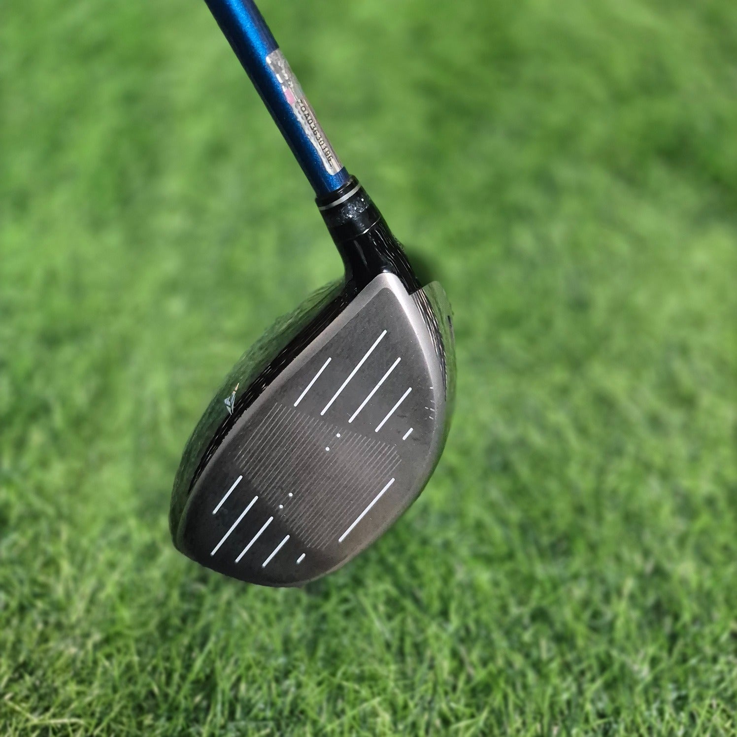 XXIO Driver / XXIO 11 / 10.5 / R