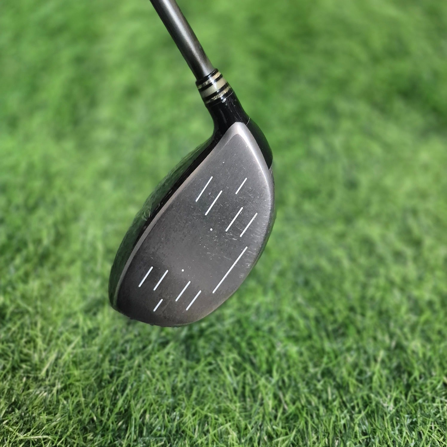 XXIO Driver / XXIO / 9.5 / A(Senior)