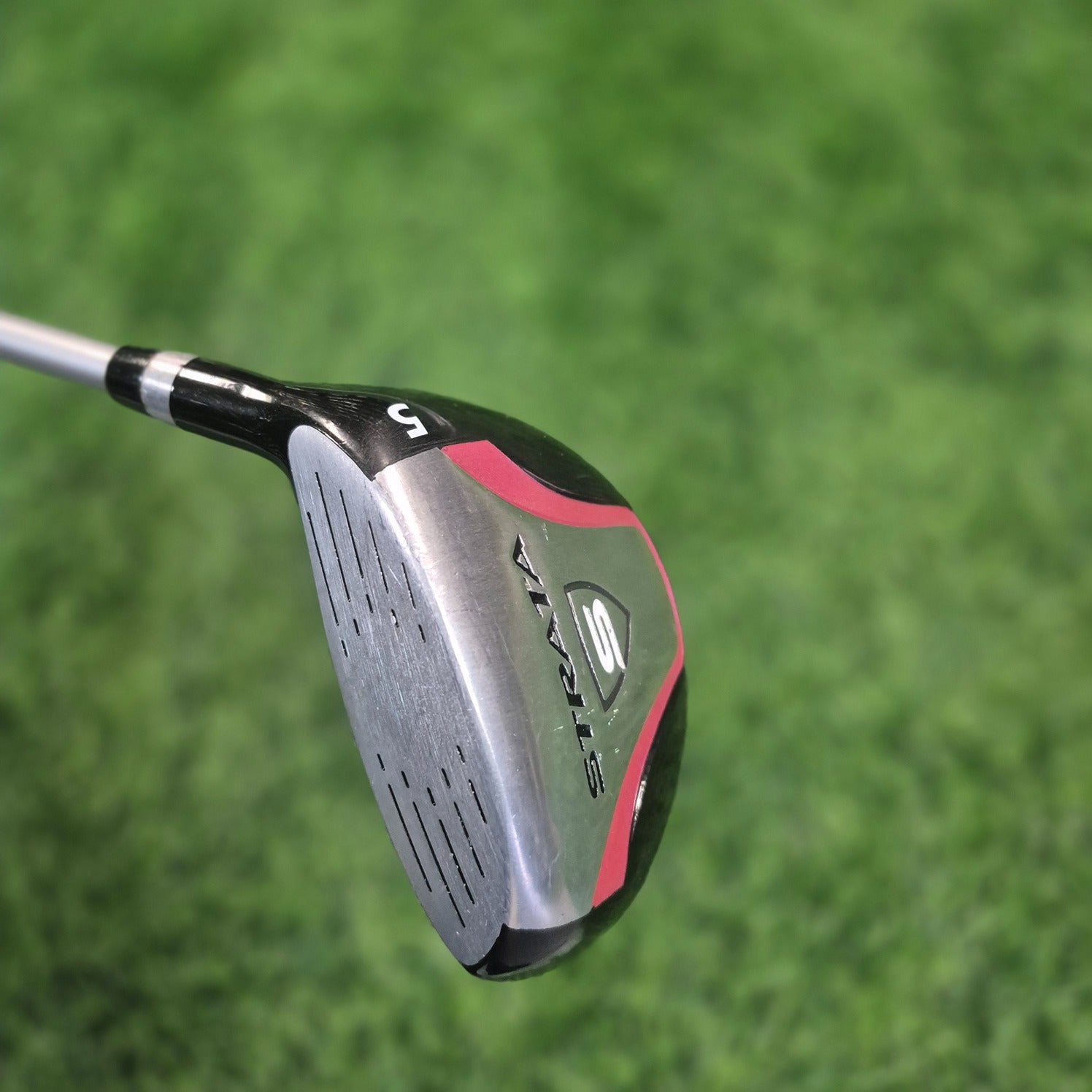 STRATA Wood / S Titanium / 5W / Women