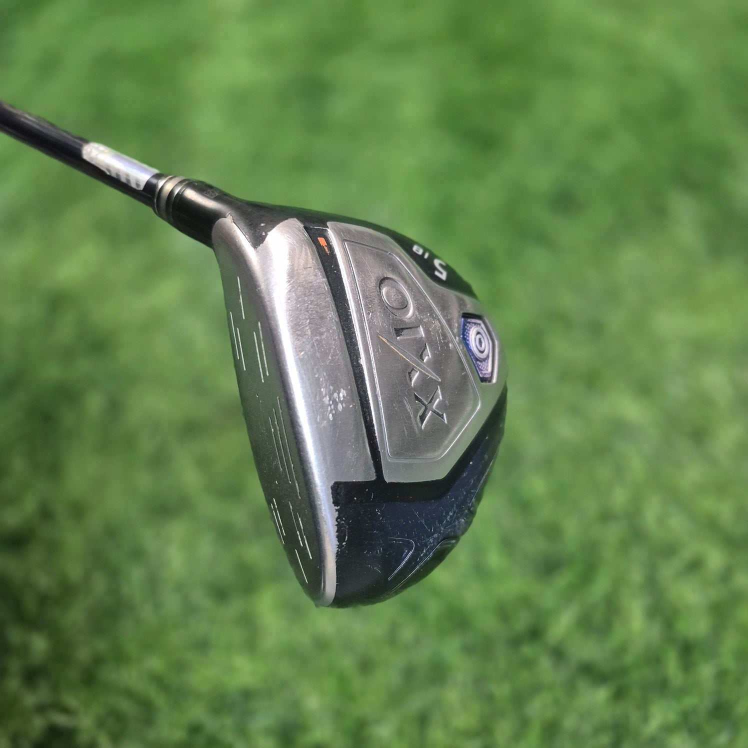 XXIO Wood / XXIO 10 / 5W(18.0) / R(S)