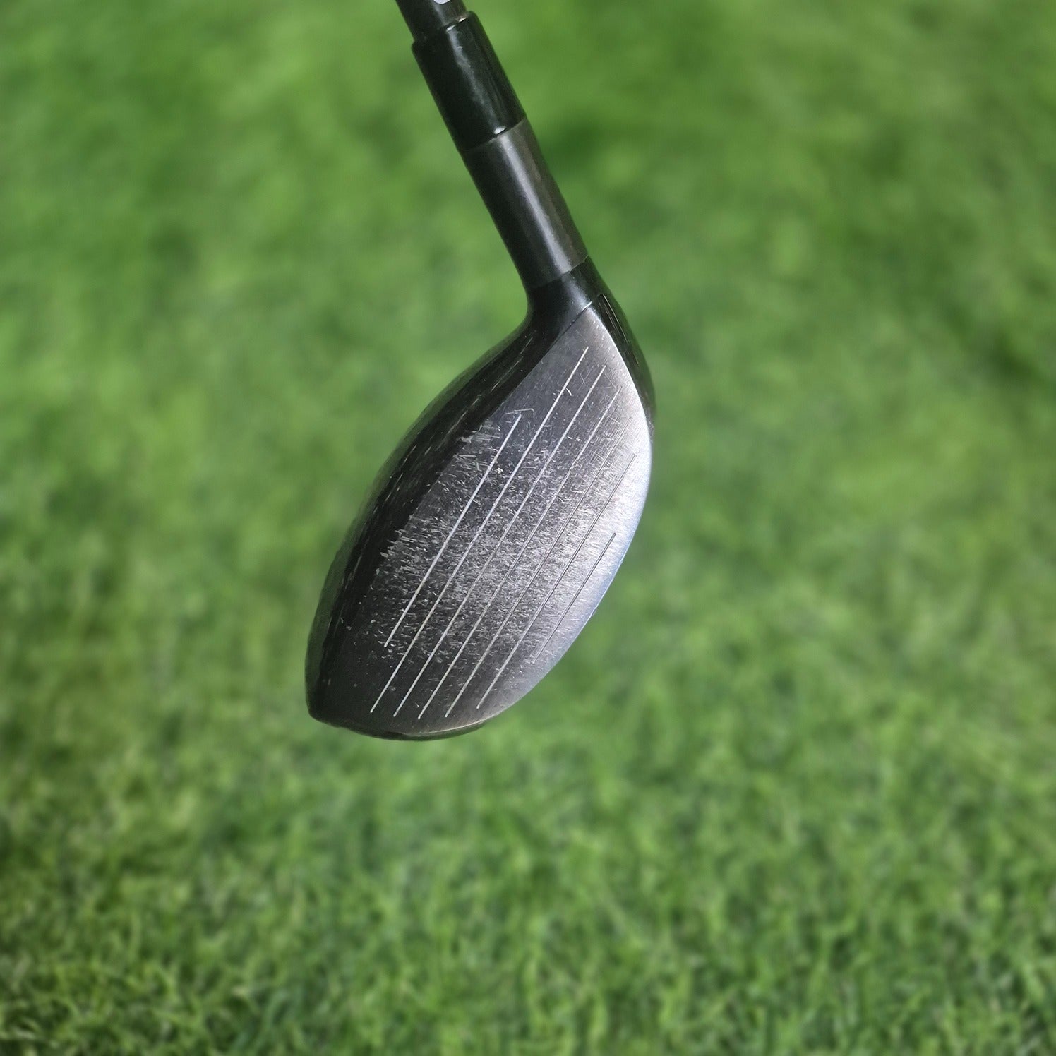 Cleveland Wood / BLACK / 3W(15.0) / A(Senior)