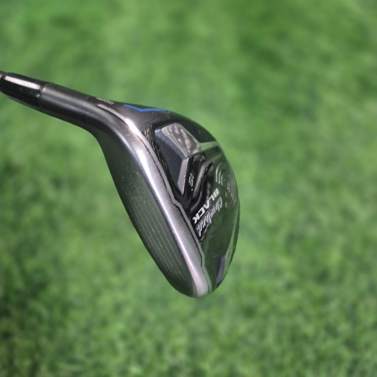 Adams Wood / TIGHT LIES / 3W(16.0) / S