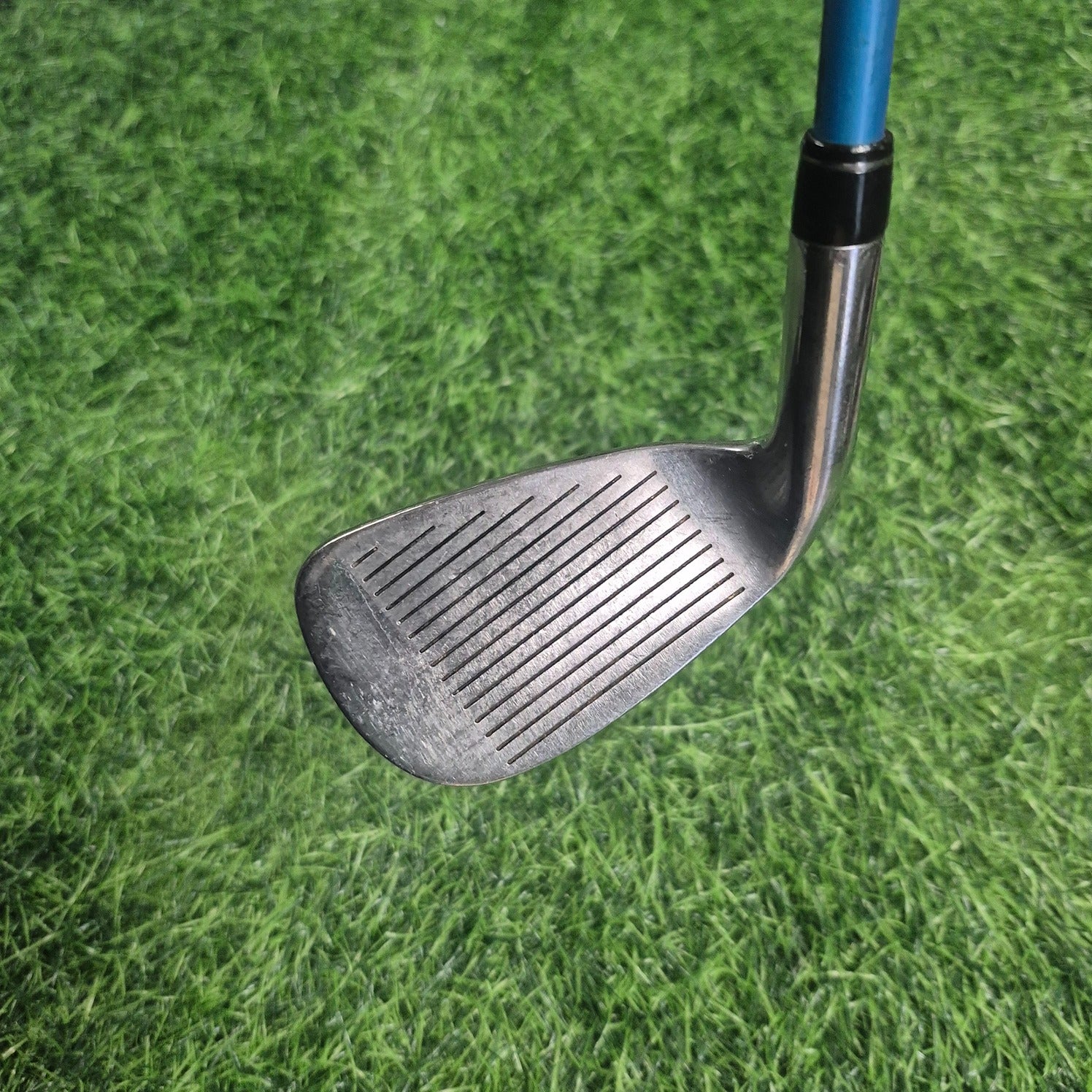 HONMA Etc / TM-503 / Single Iron #8 / Women