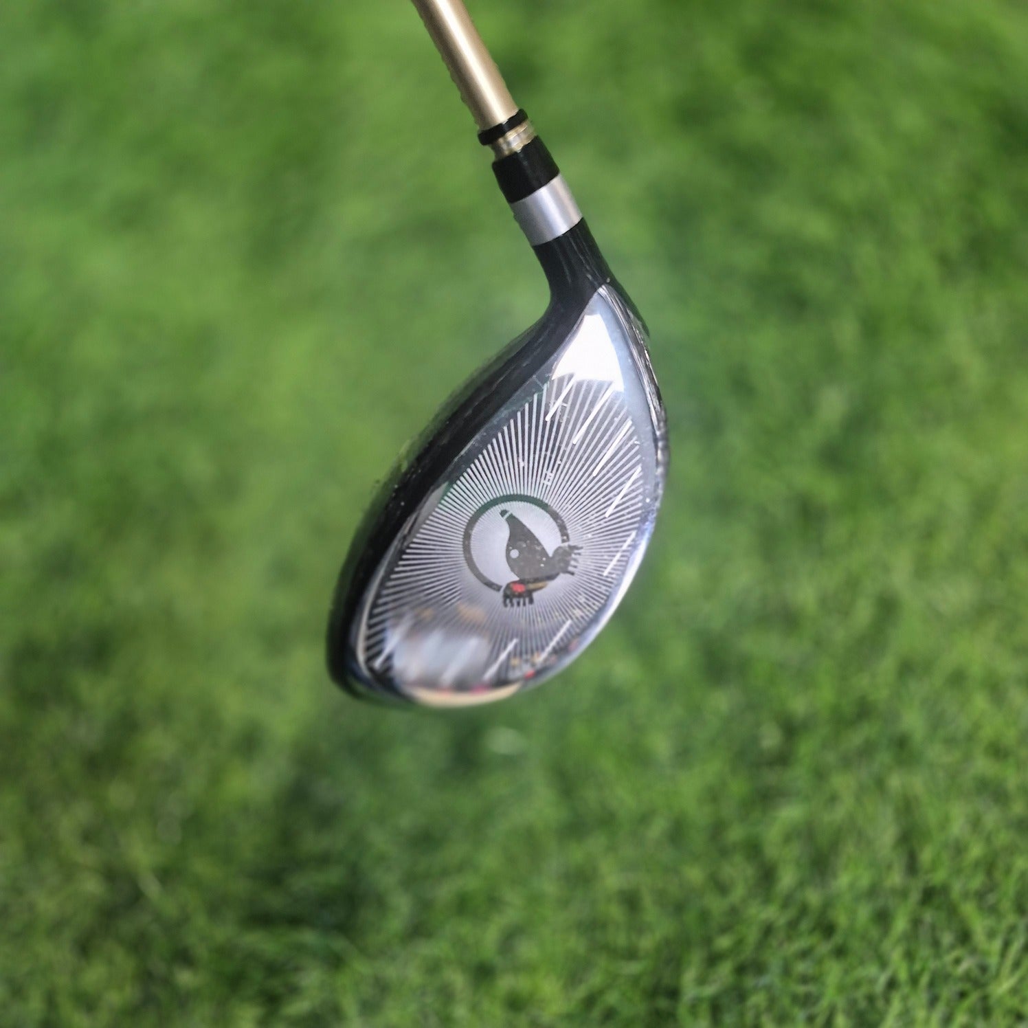 HONMA Driver / BERES / 2 stars / 10.5 / R(S)