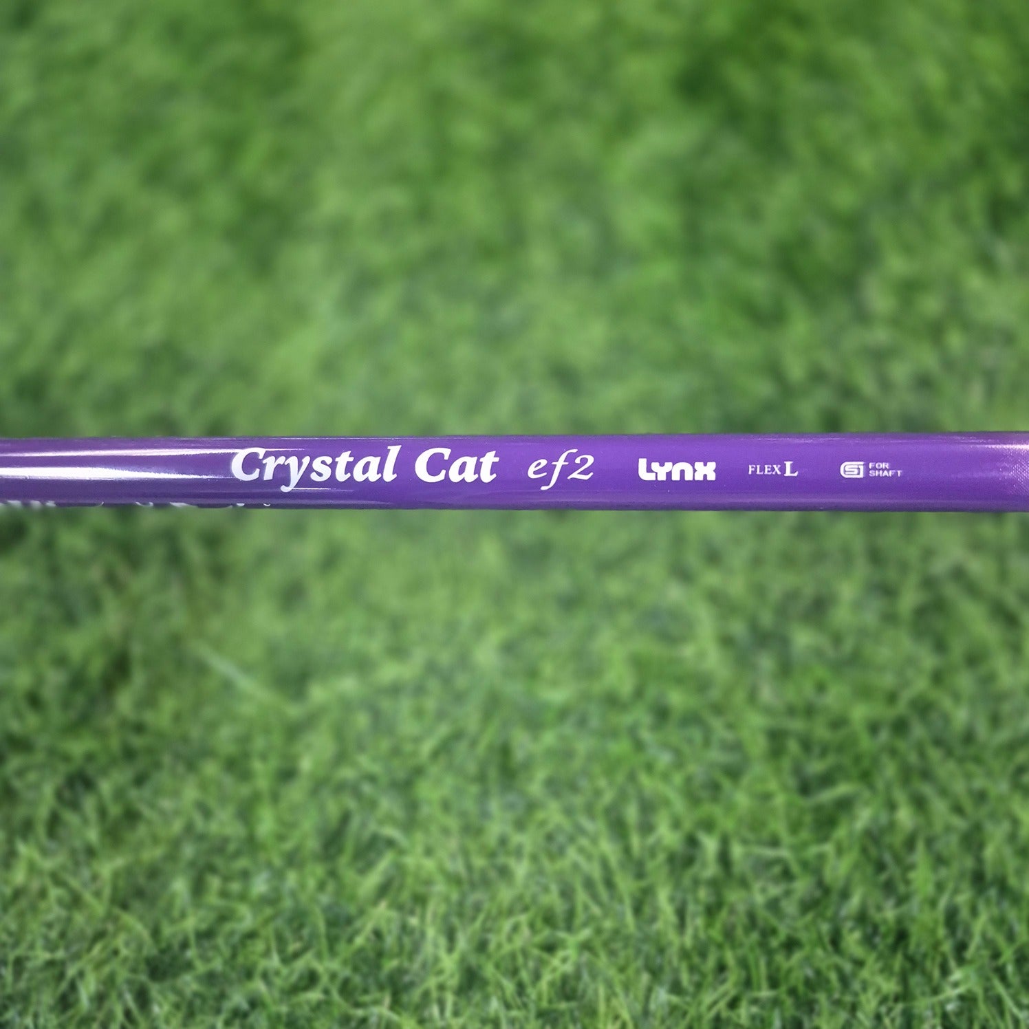 Lynx Etc / Cristal Cat  / #7 Single Iron / Women (New)