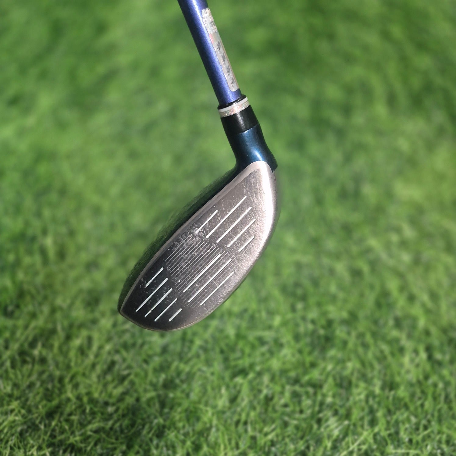 XXIO Wood / XXIO 11 / 5W(20.0) / Women