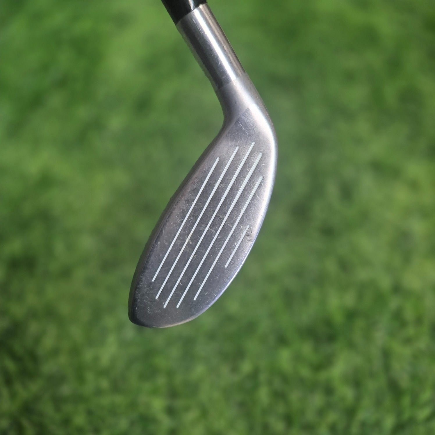 Mizuno Hybrid / MP CLK / 2H (17.0) / S